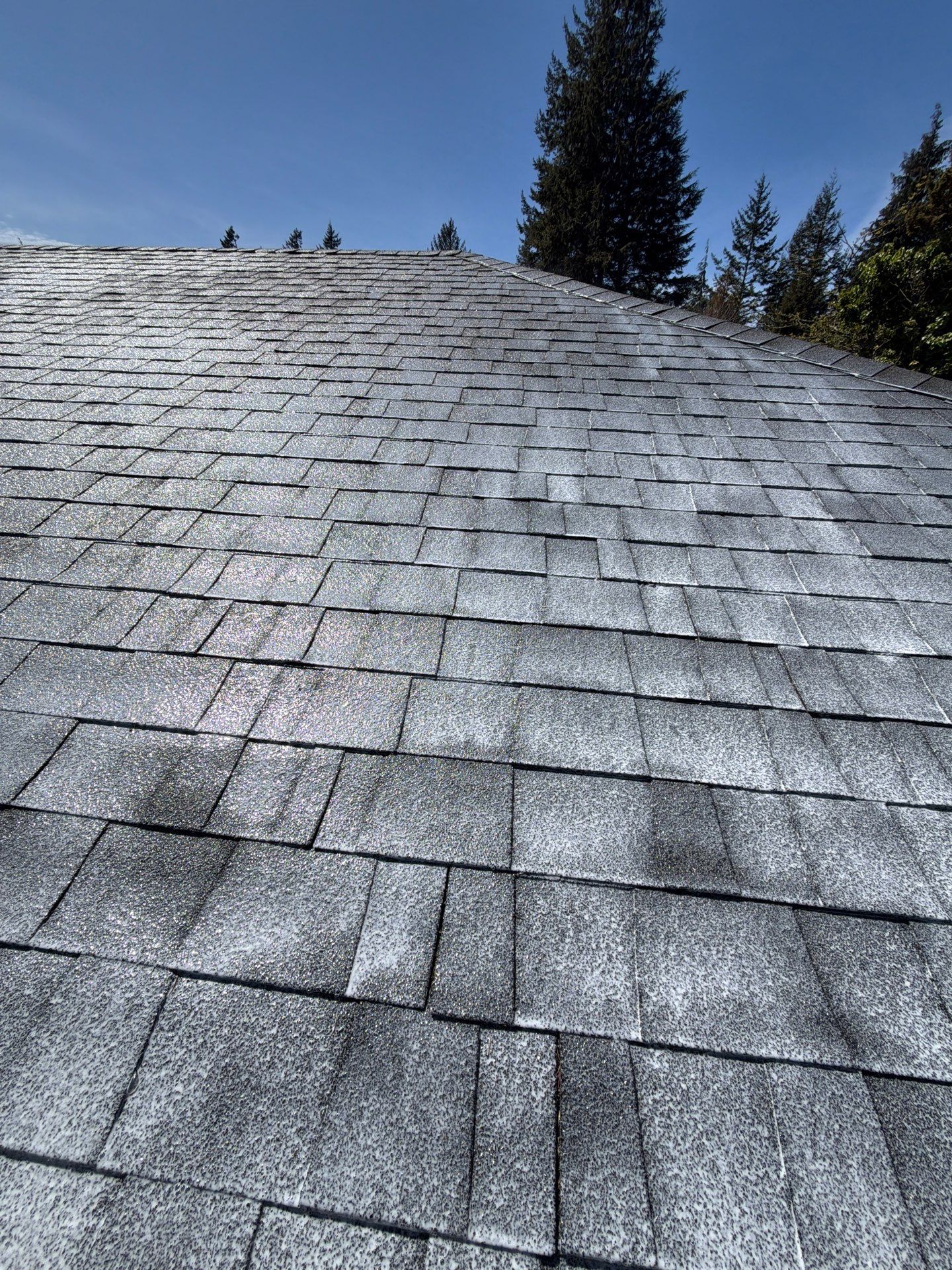 Project in Coos Bay by Roof Maxx of Grants Pass