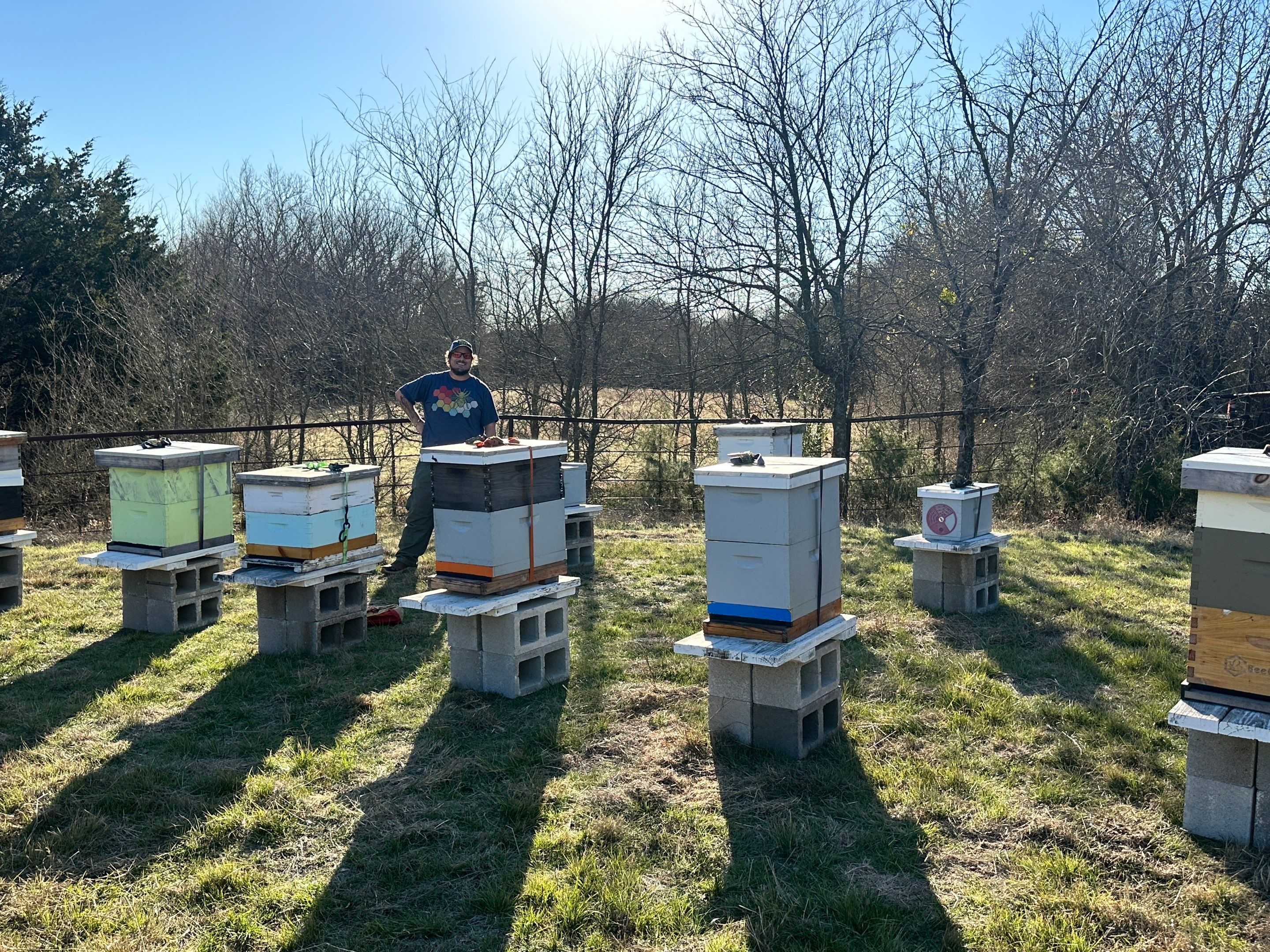 Bees for Ag. Exemption in Heath by Rockwall Honey Bee Company