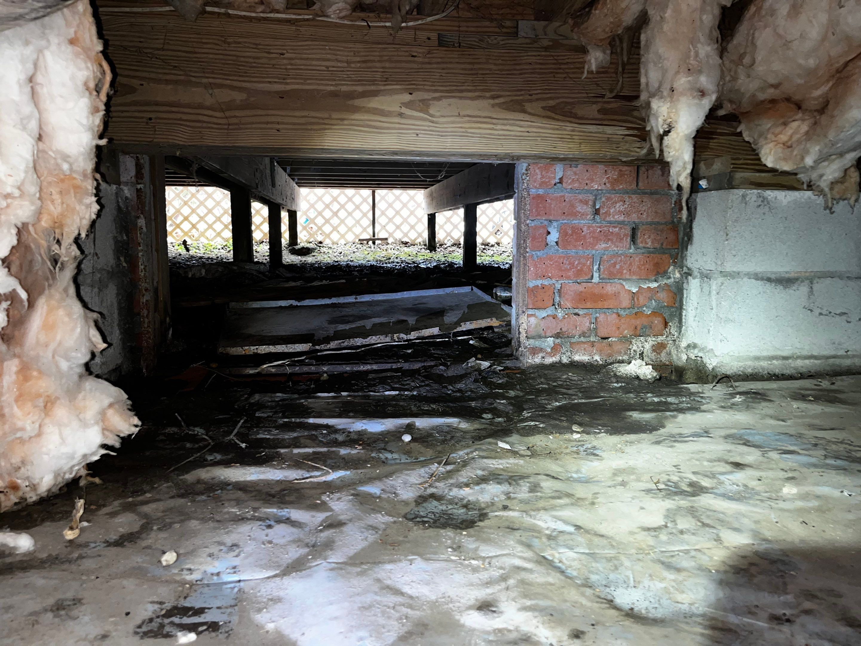 Impact Choice Encapsulation with French Drain and Crawlspace Doors by Impact Crawlspace