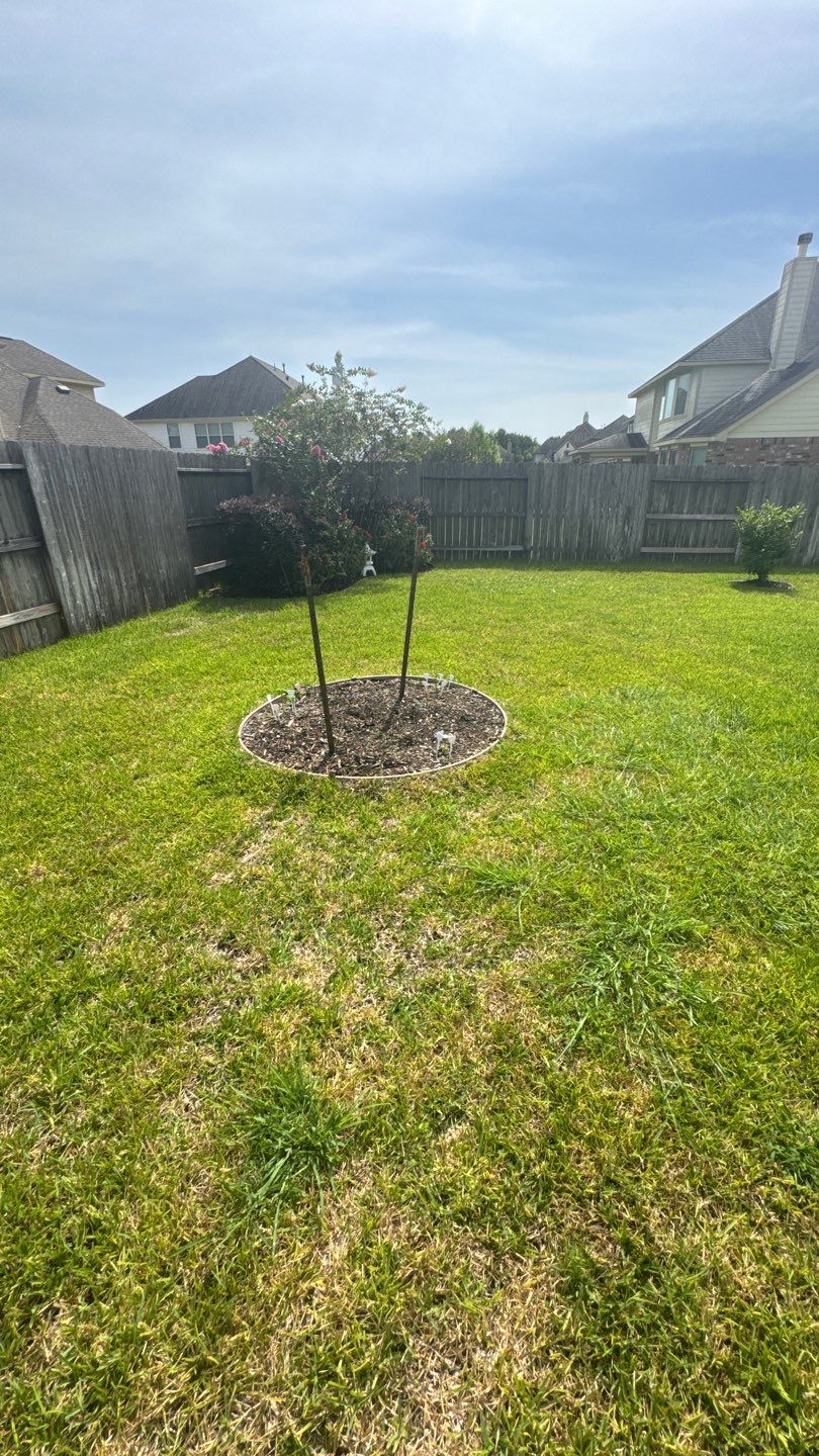 🌿 Mr. Ken’s Front Yard Flower Bed Enhancement by Texas Urban Elements