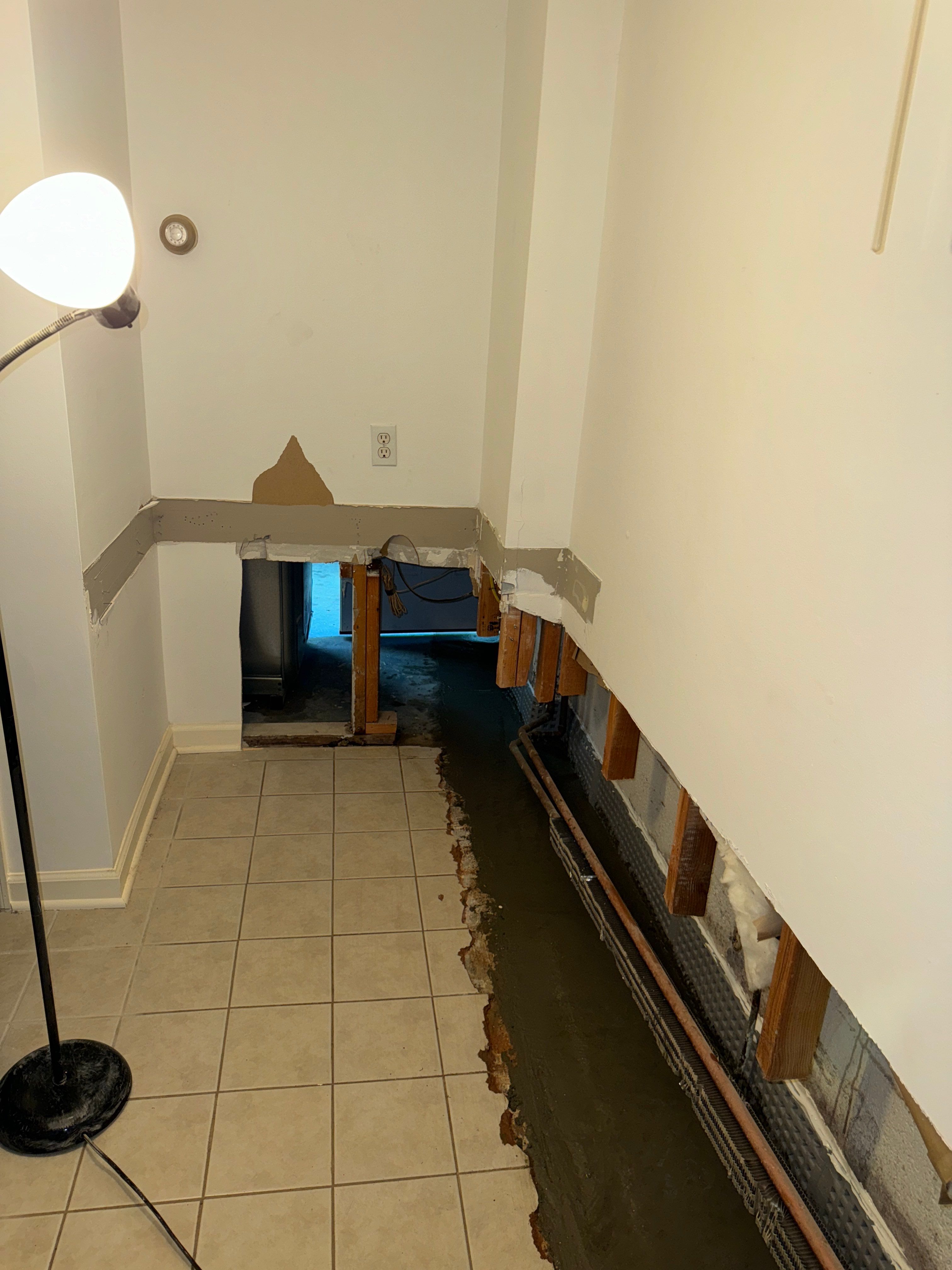 Interior French Drain Basking Ridge NJ by Pure Service Pro, LLC 