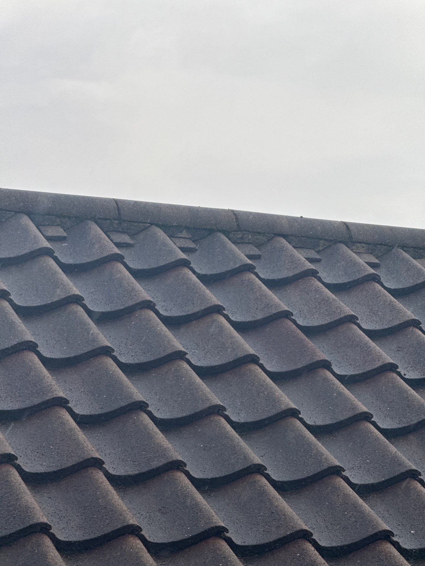 Roof Clean by Ges Exterior Cleaning ltd