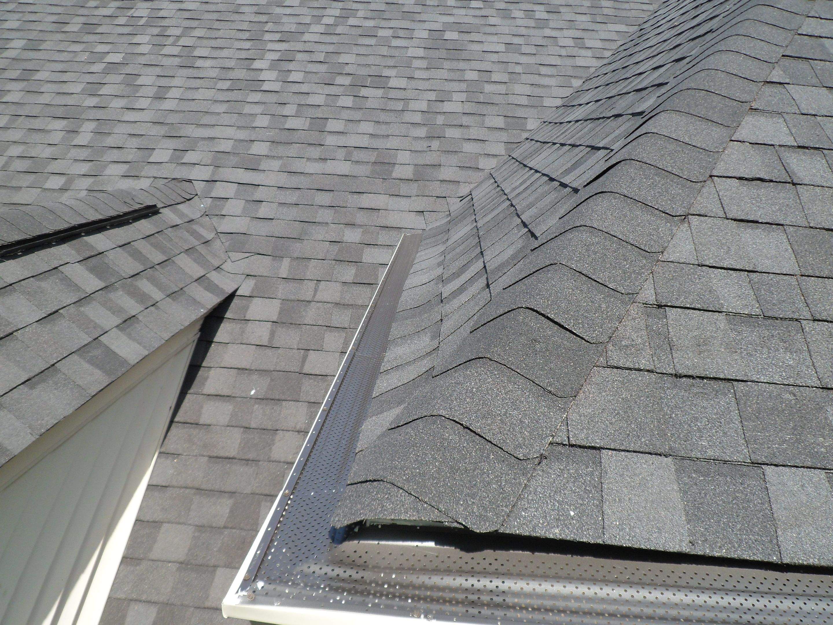 New Shingle Roof & New Gutters and downspouts with covers by Alpha Design Services