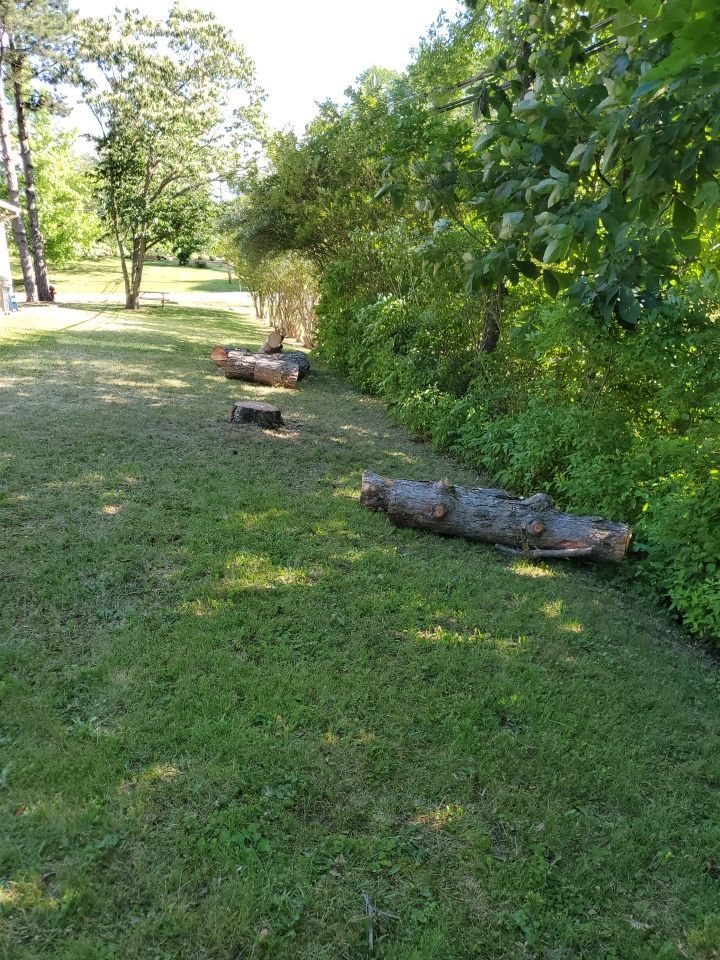 Tree Removal using Tree Removal by Mike Jones & Sons Tree Service LLC 