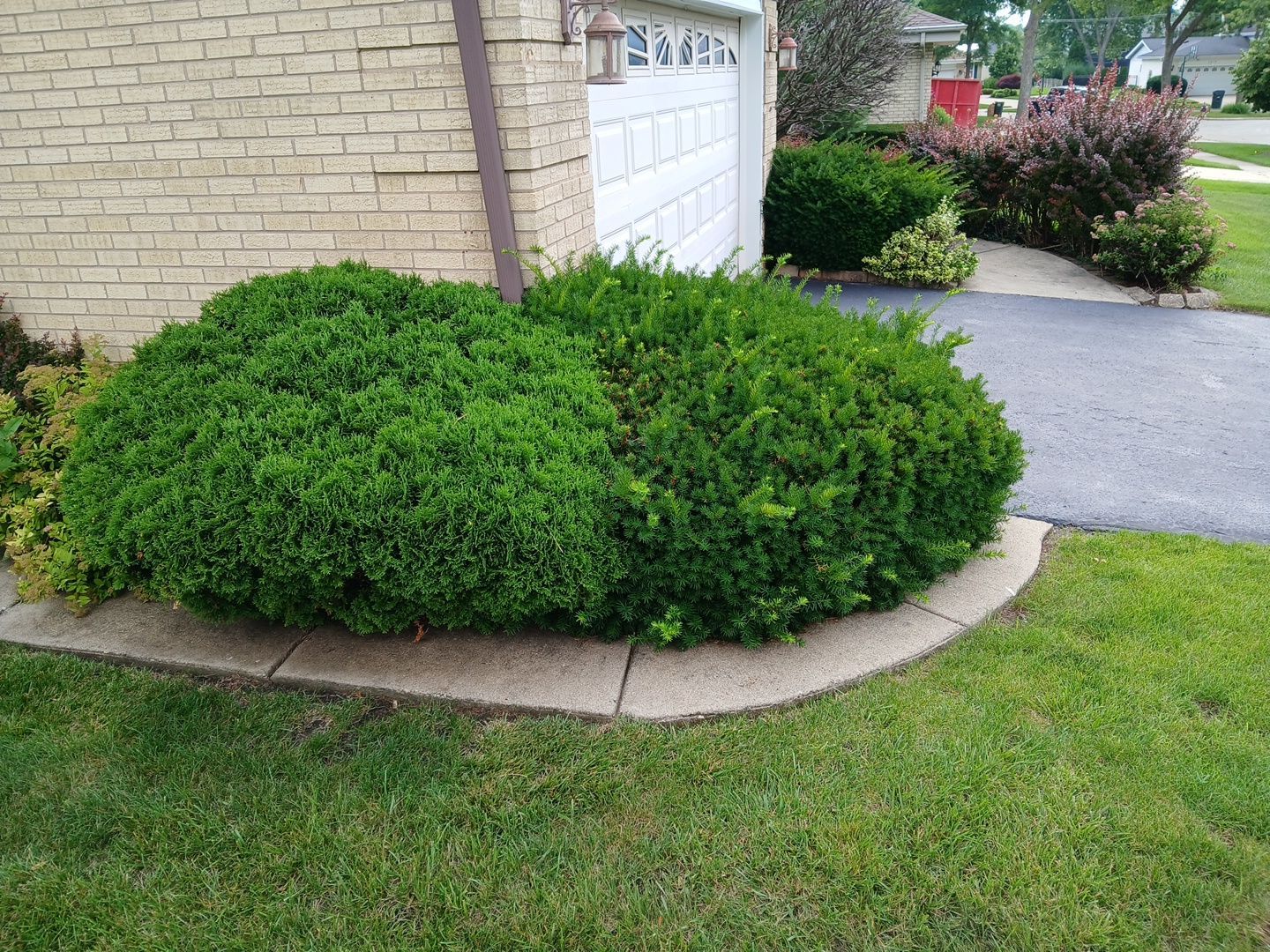Andrew L. - Arlington Heights, IL by A&N