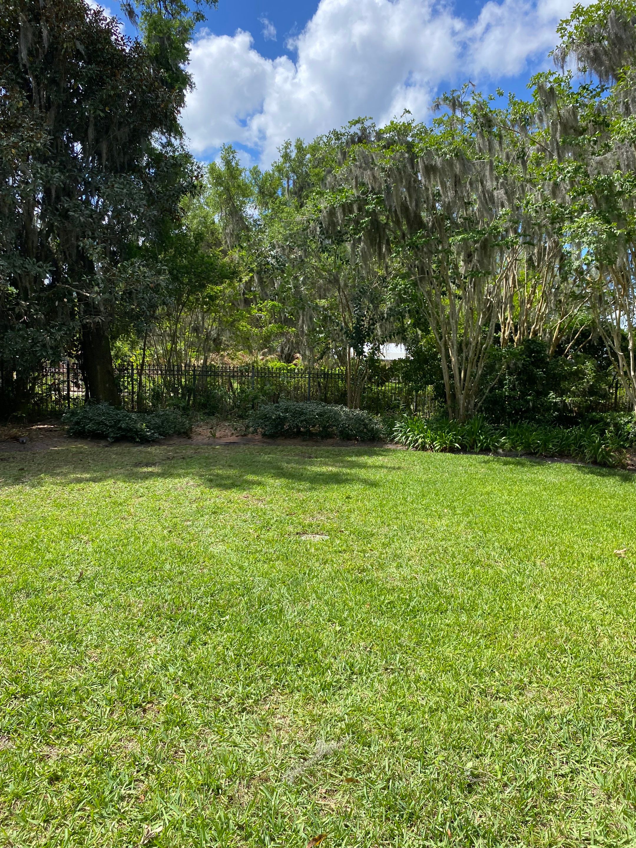 Residential | Tree Removal by ProGreen Services