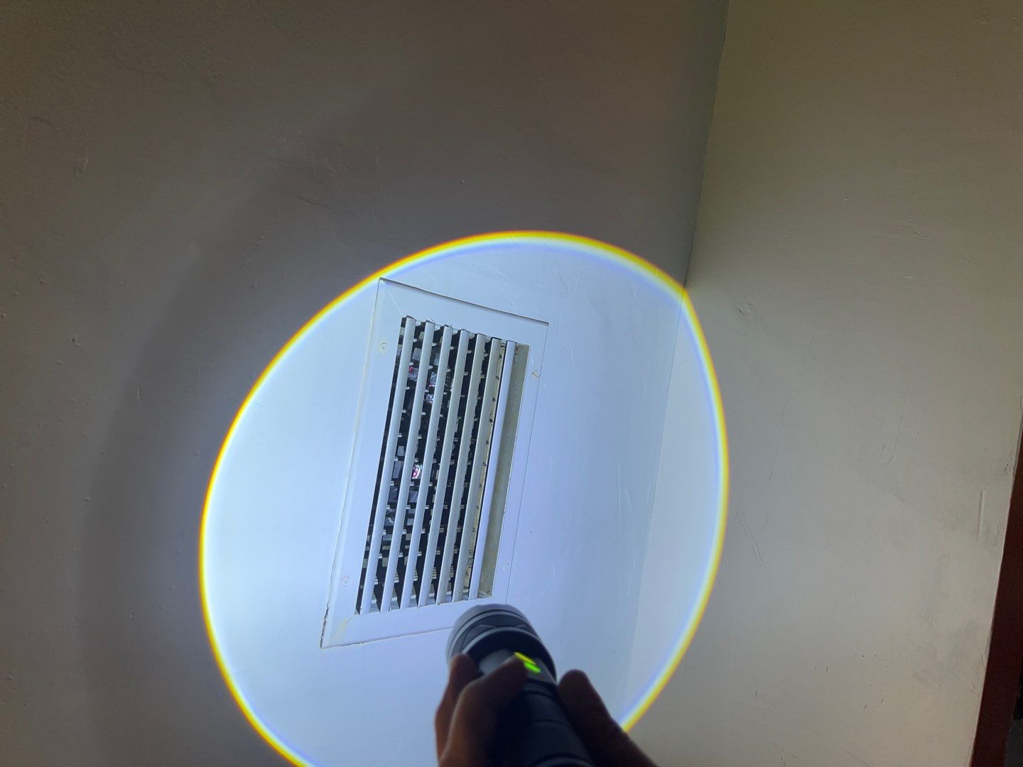 St Petersburg Mold Remediation by Ampm Restoration Services 