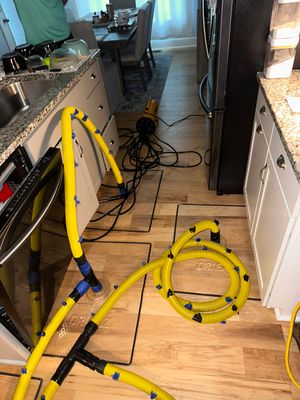 Water Damage Mitigation Using PDS System