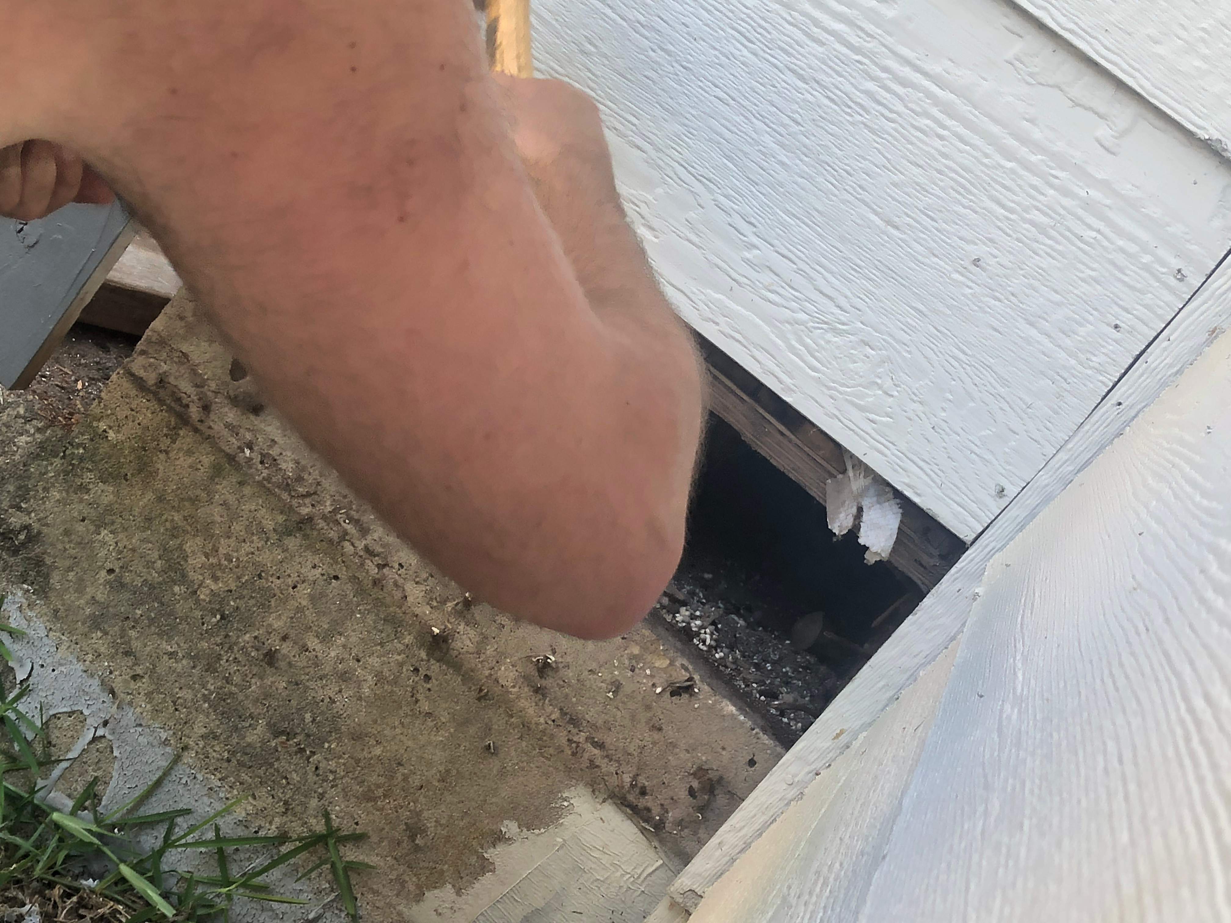 Bees Handled by Rockwall Honey Bee Company