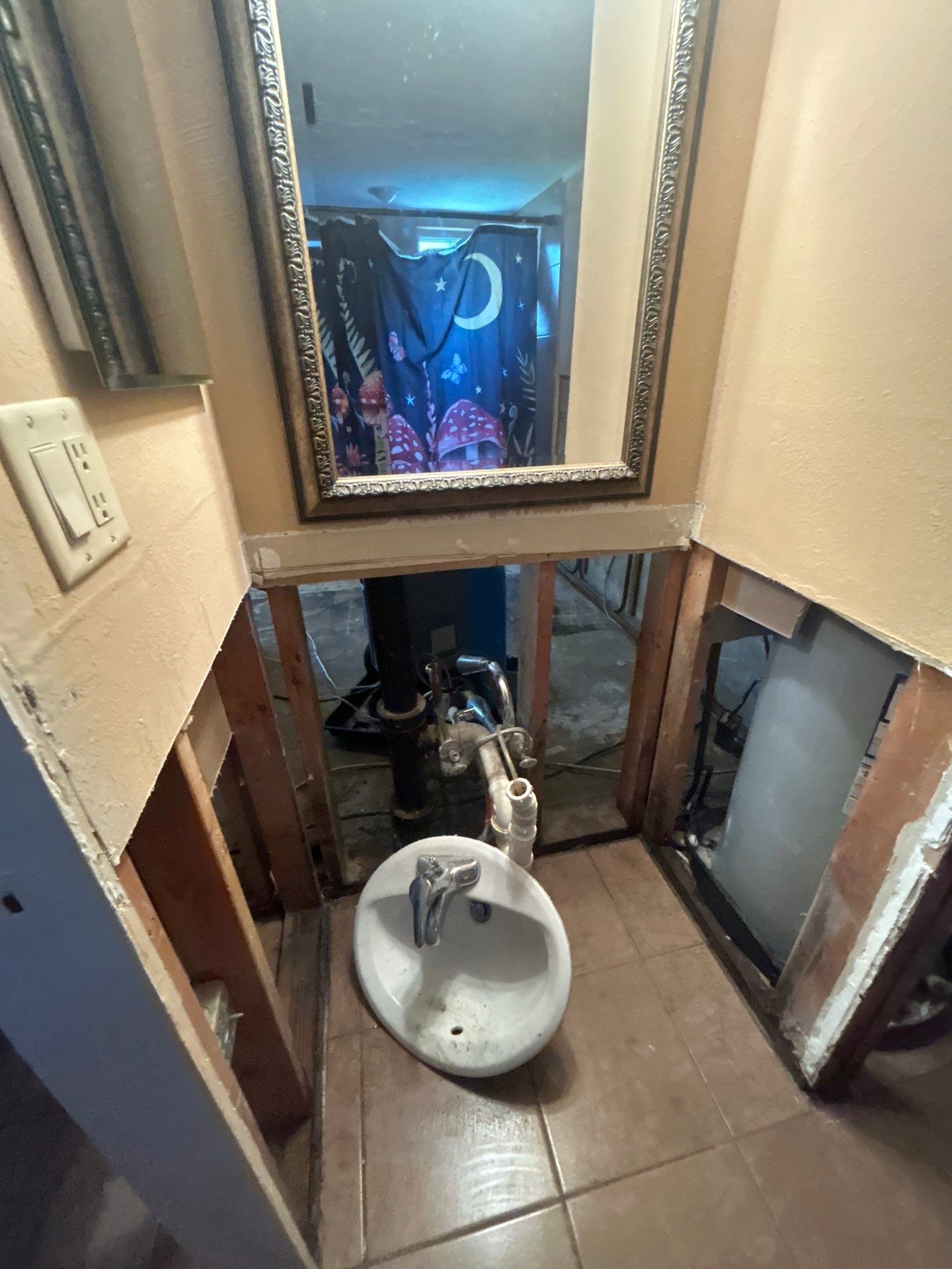 Commercial Mold Damage In Sarasota by Ampm Restoration Services