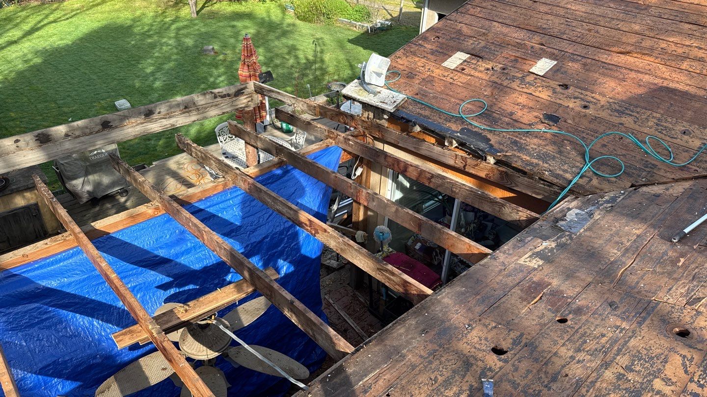 Willa Holmstock by NuLead Construction Inc