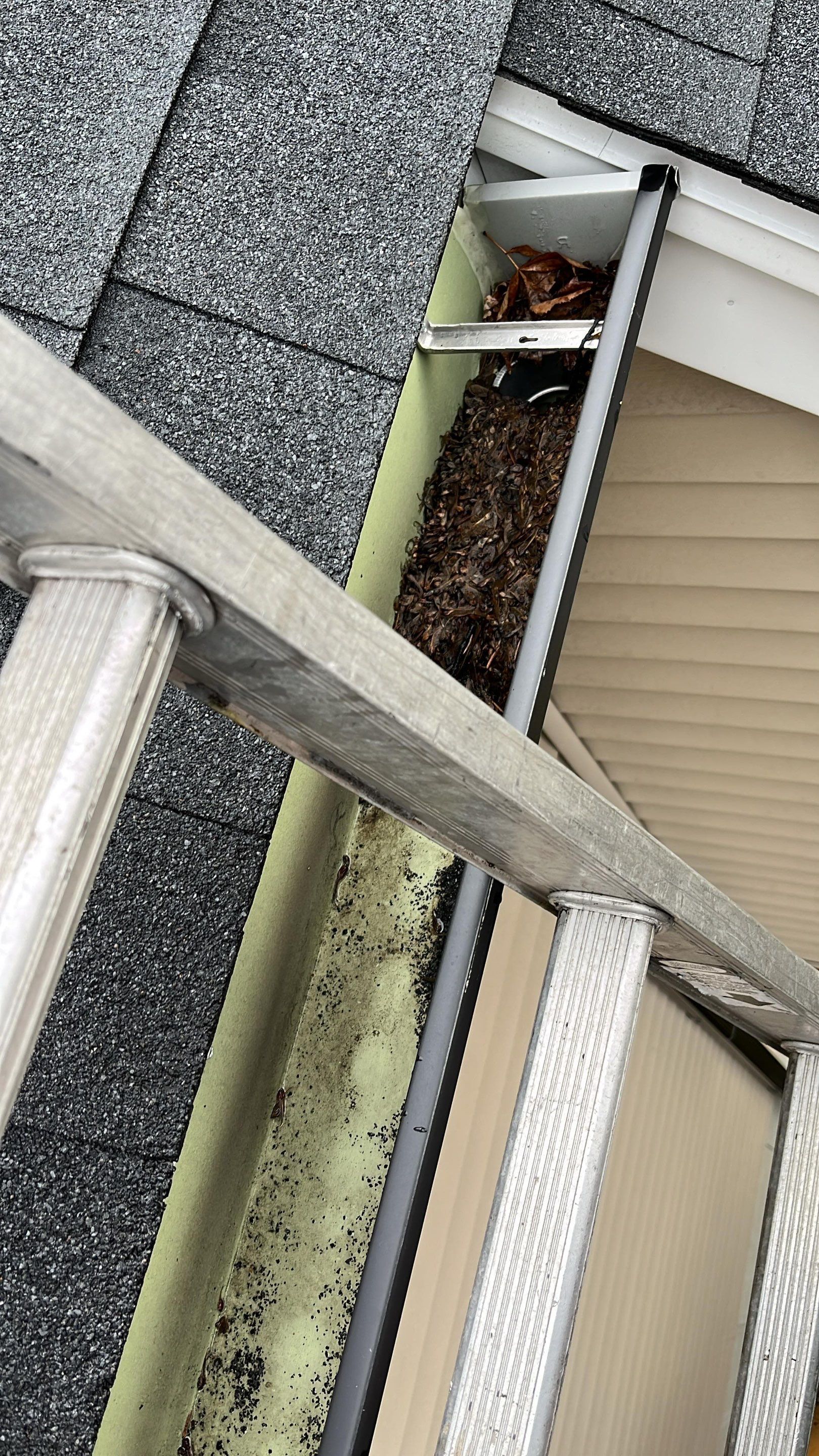 Gutter Cleaning  by JOHNNYS PRO