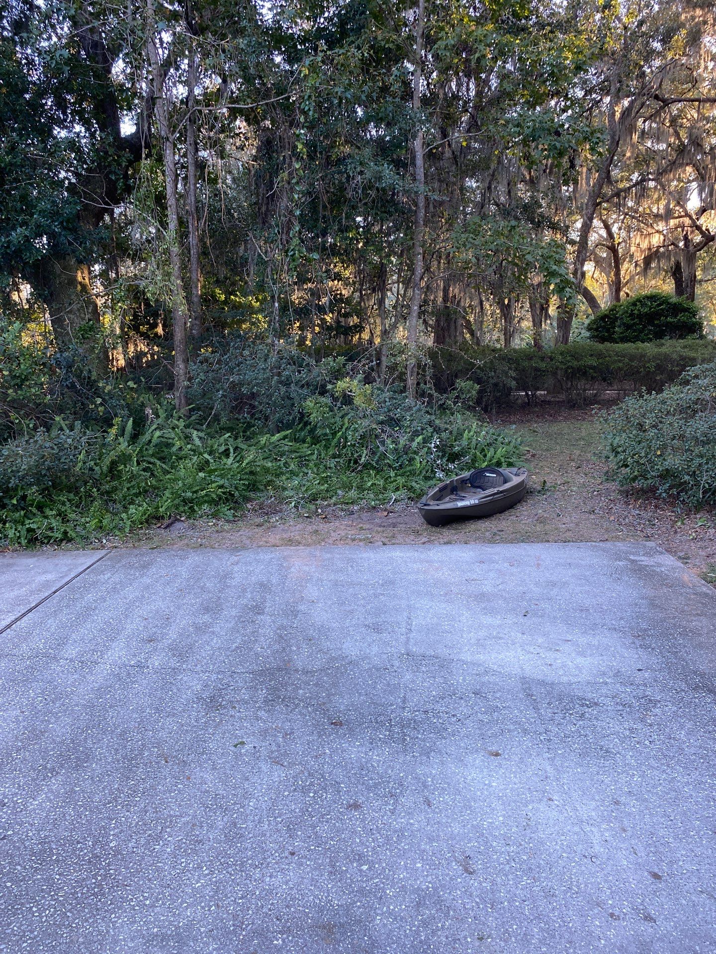 Deerwood Resident | Tree Removal & Trimming by ProGreen Services