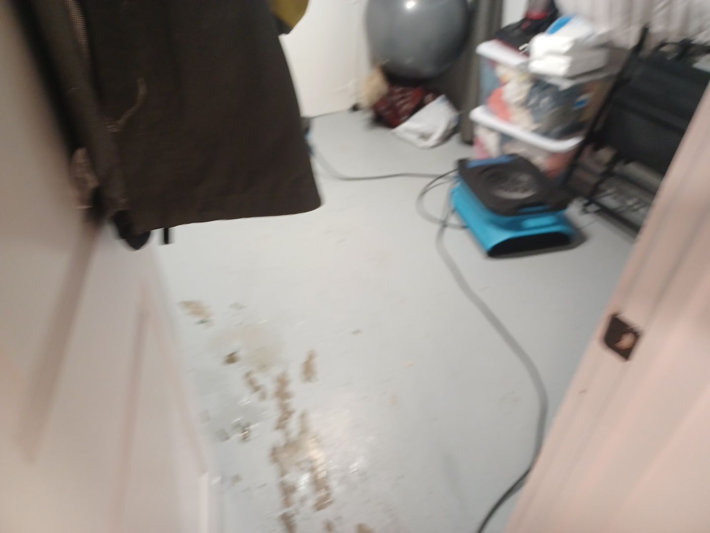 Project in Royal Oak by EzDry Water Mitigation & Property Restoration