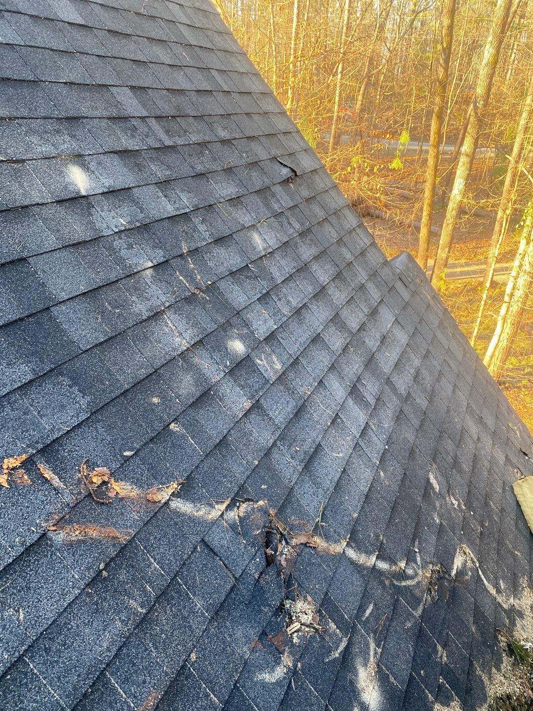 Tarp by Deerfield Roofing LLC