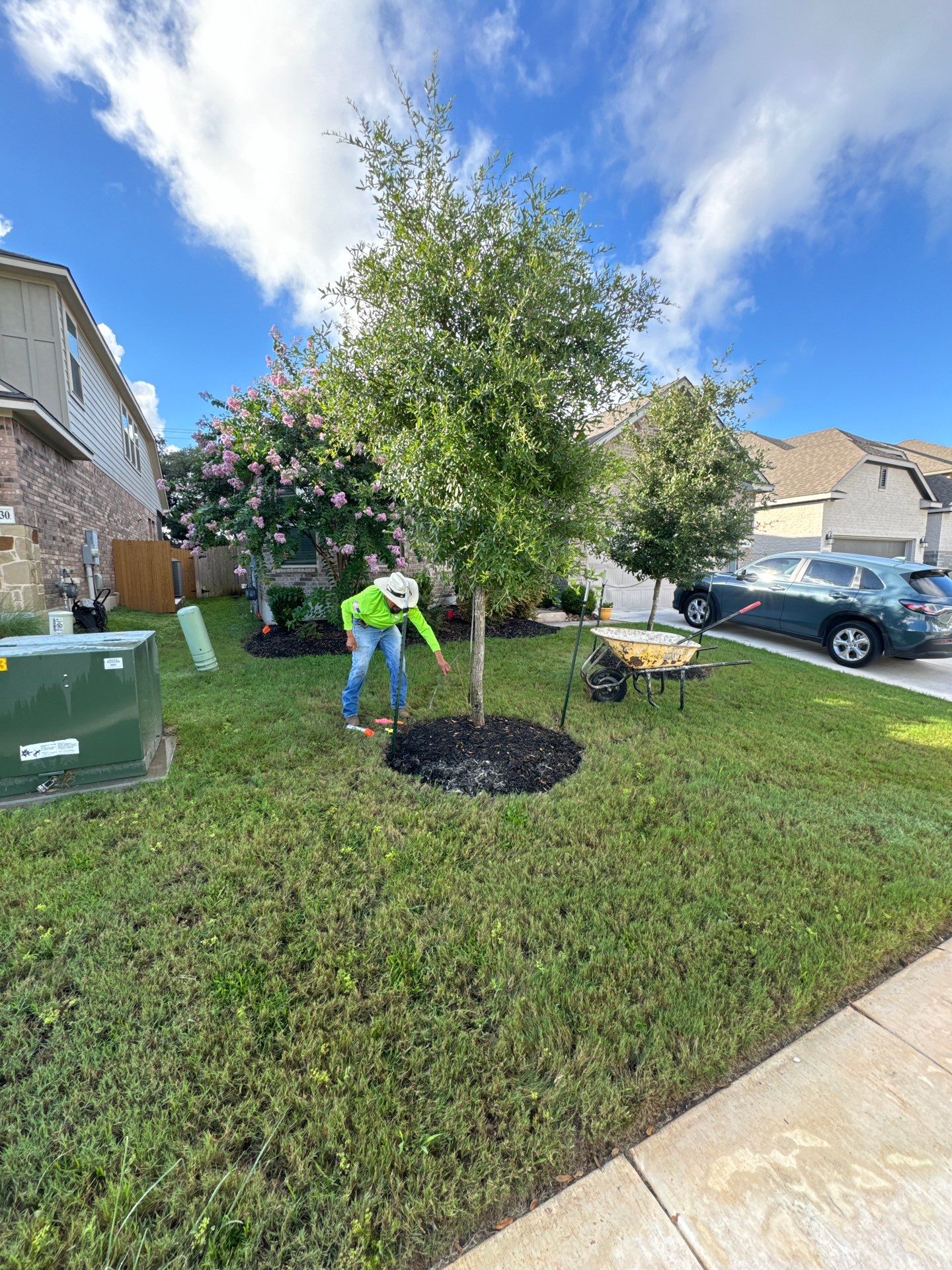 Wortham Oaks - San Antonio, TX by Hole In One Lawns, LLC