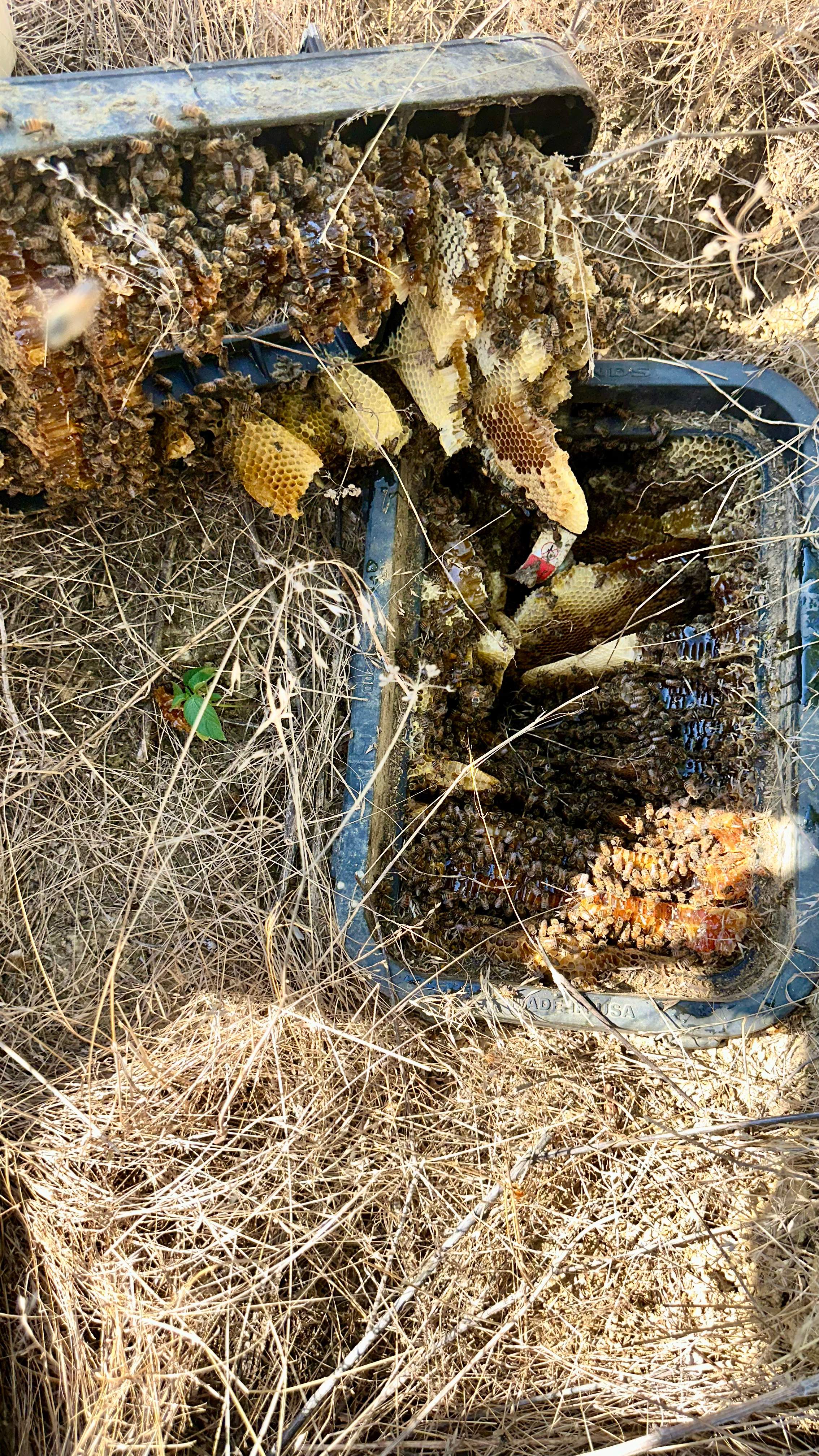 Well Meter by Rockwall Honey Bee Company