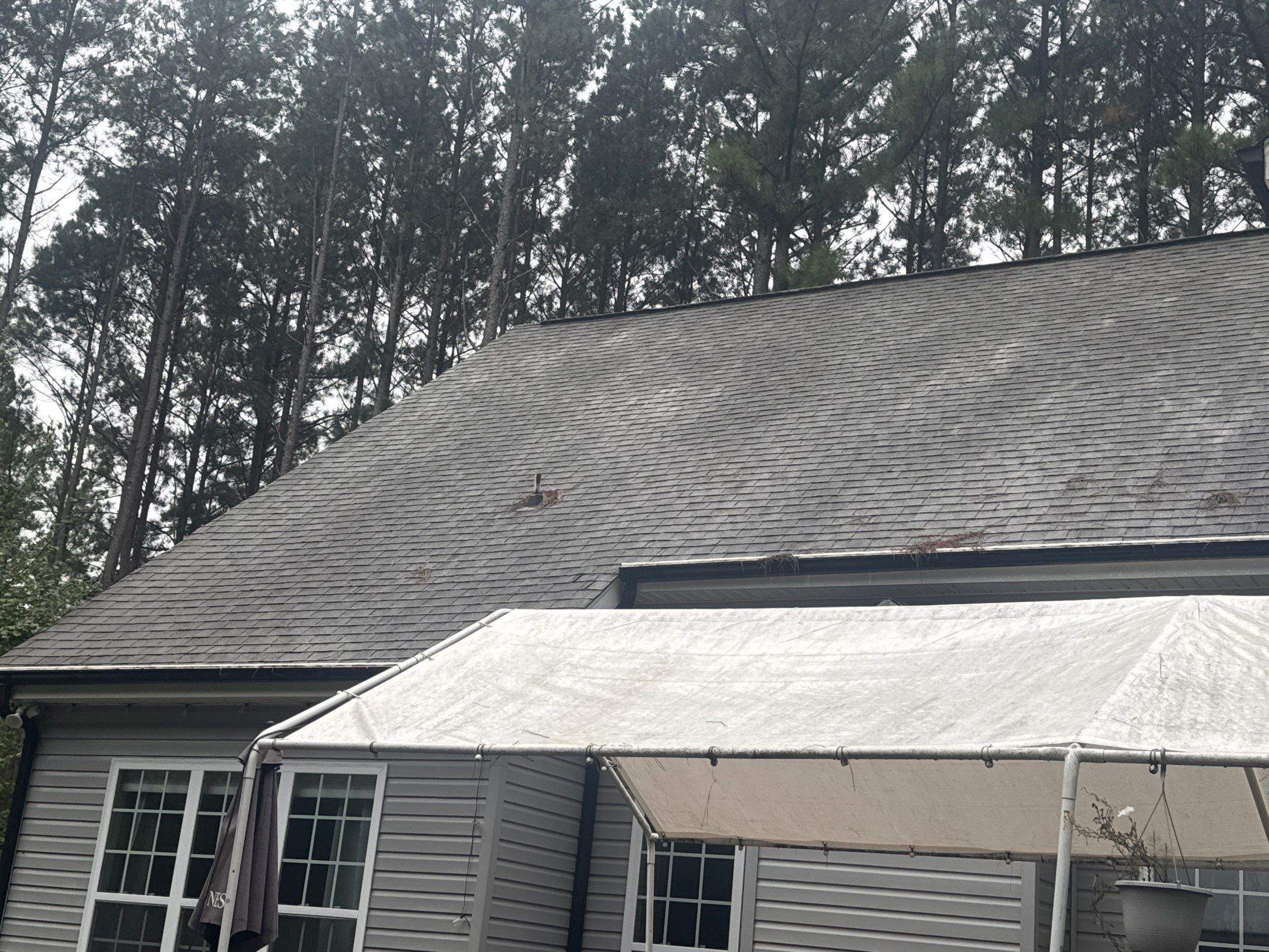 the service involves cleaning the roof surface to remove dirt and debris for better appearance and maintenance