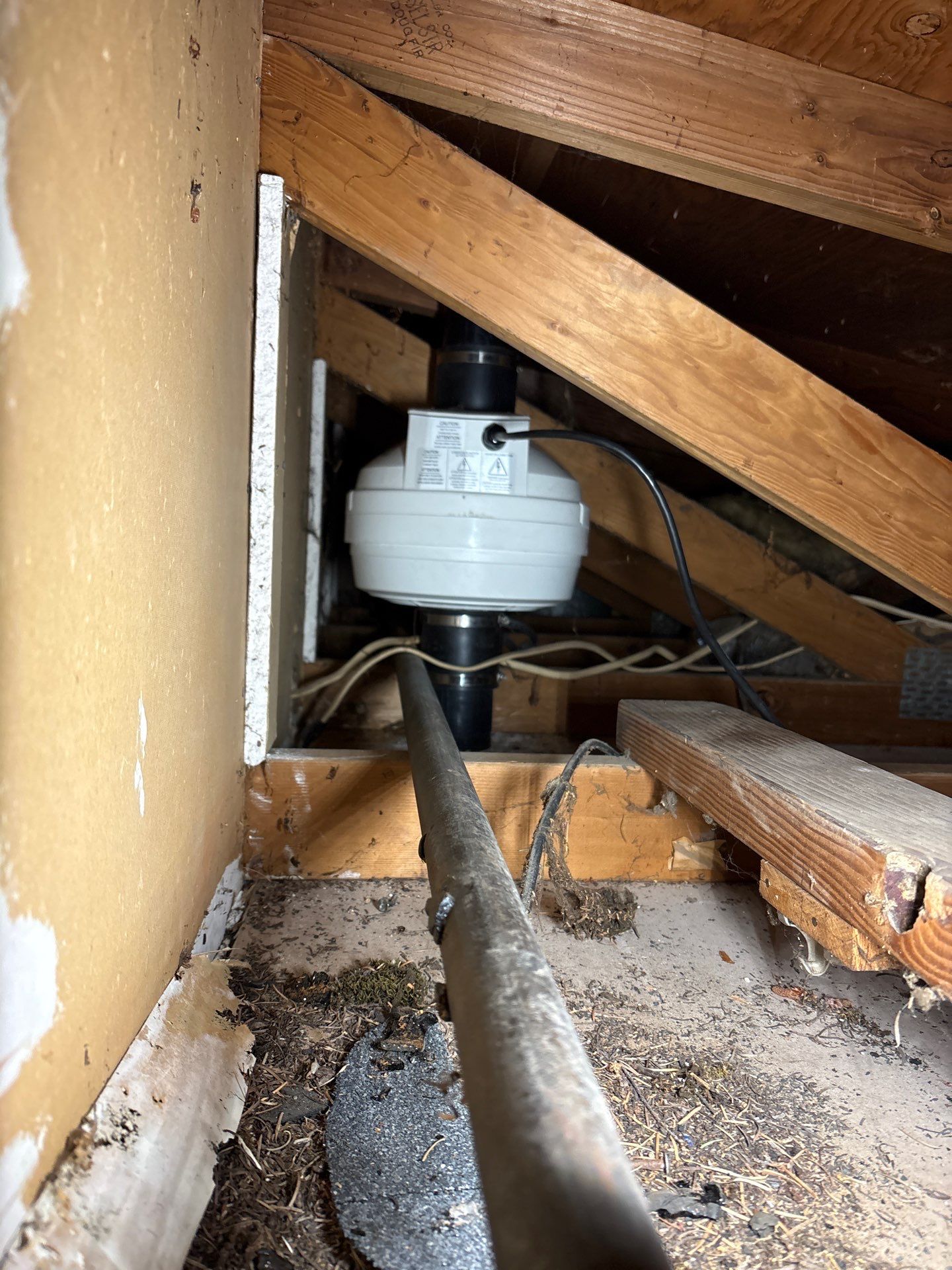 Portland Project by JustRadon.Com