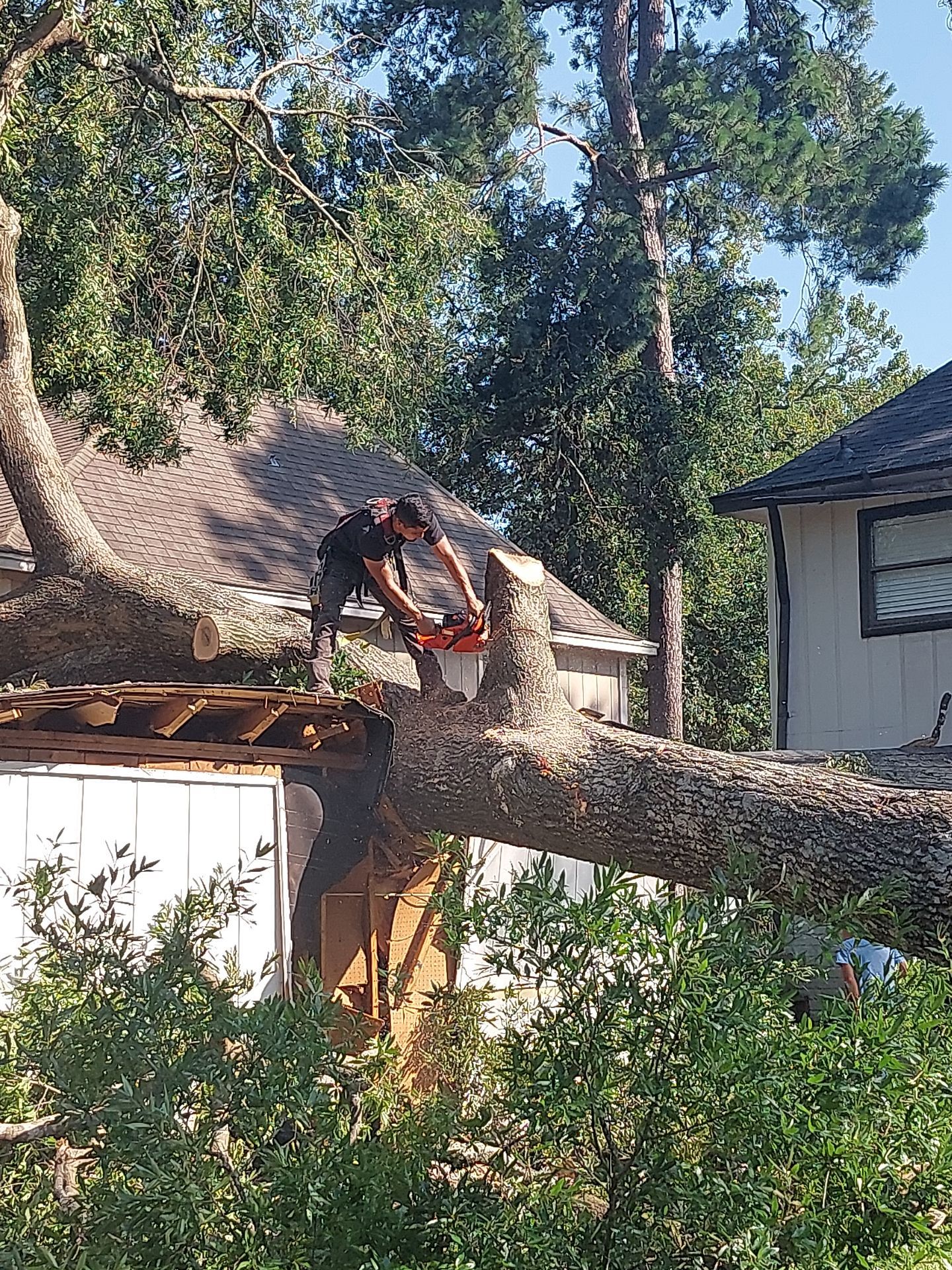 Tree Damage Garage Rebuild & Home Repair by Majesty Construction