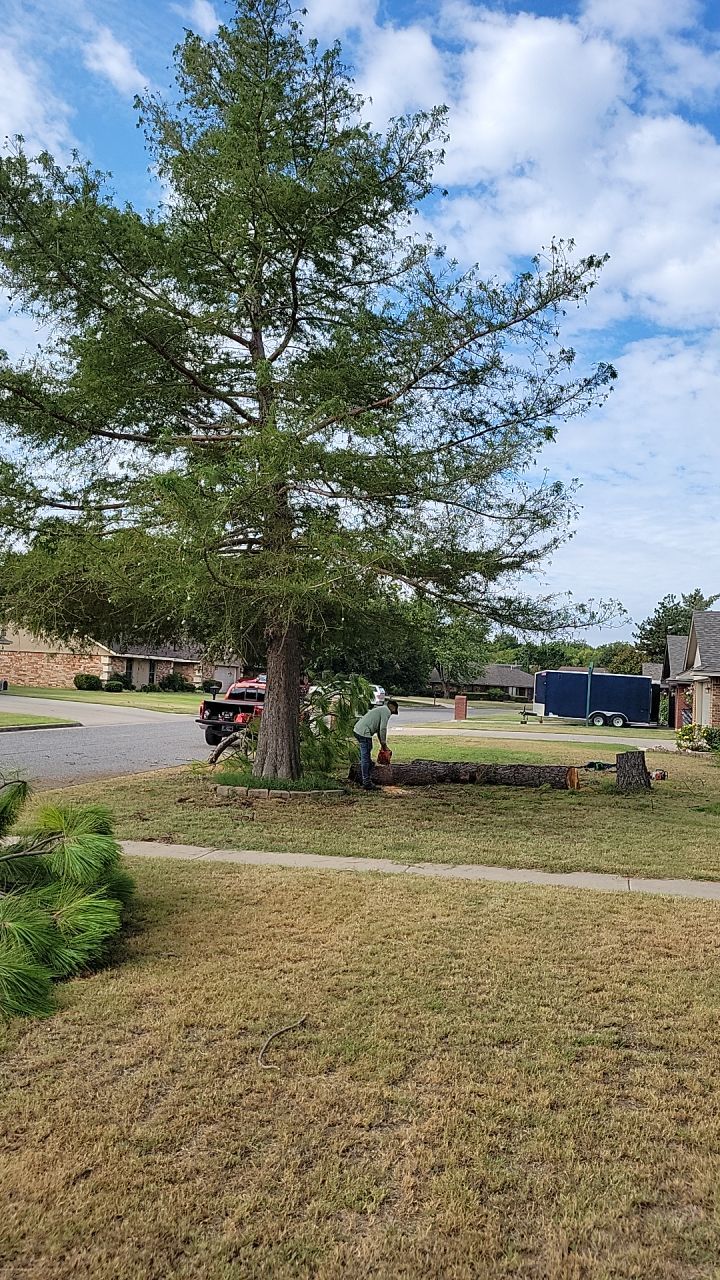 Tree removal , Concrete, Pergola, and sod install  by Clays Services Inc