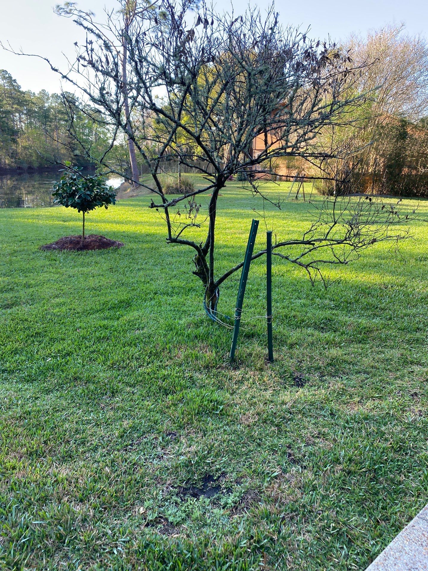 Deerwood Resident | Landscaping by ProGreen Services