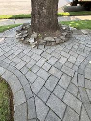 Solar Panel Cleaning in West Orange, NJ — Gallo Bros job photo