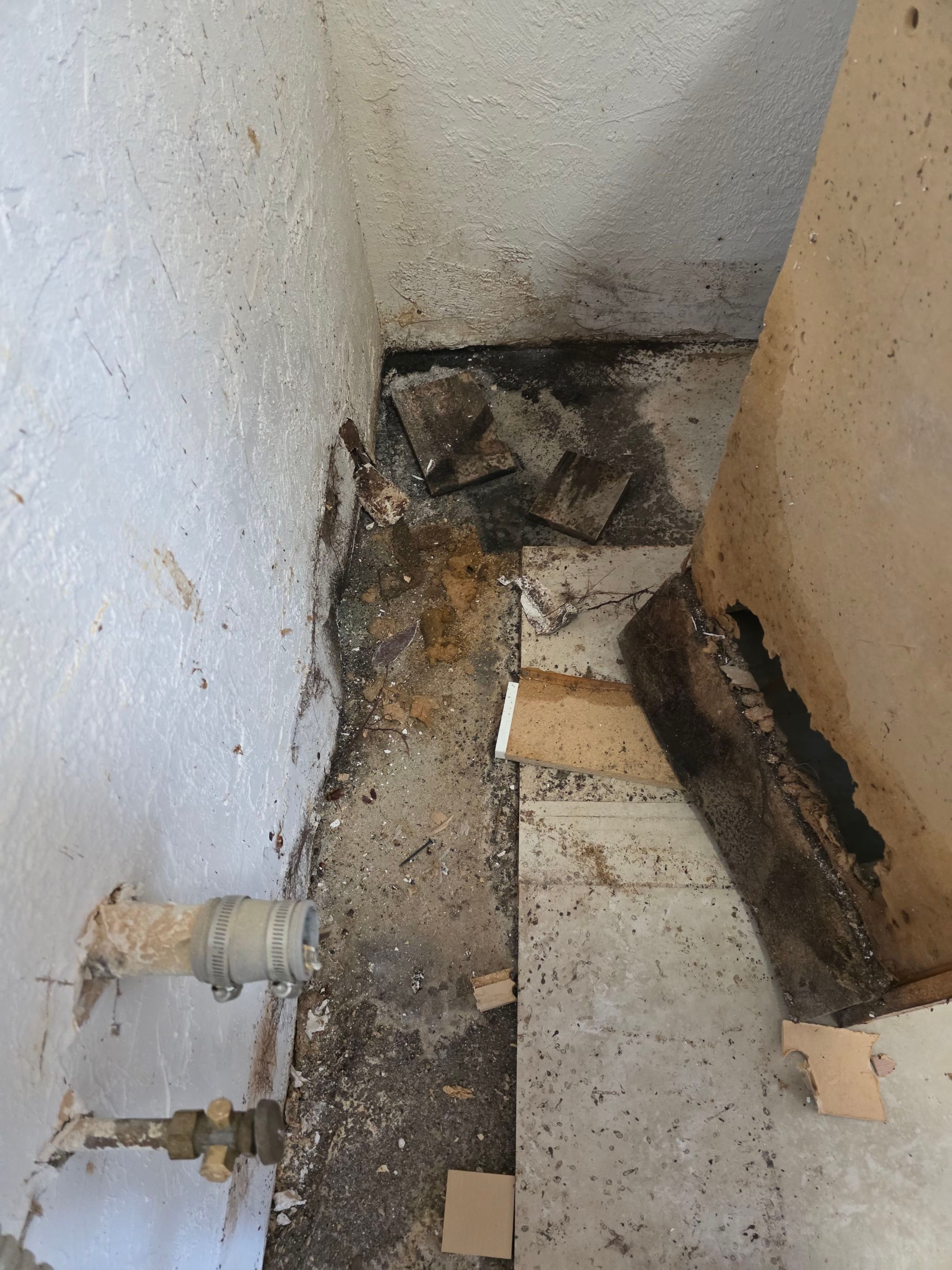 Project in St. Petersburg by Bay Coast Restoration 