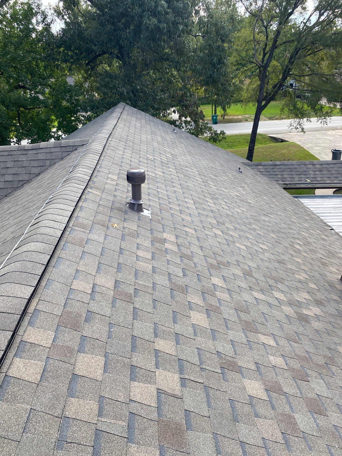 Michelle M. by Boss Hogg Roofing