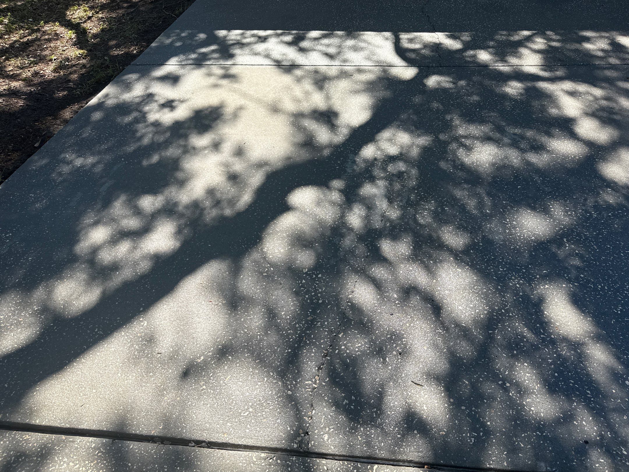 Concrete Driveway & Sidewalk Cleaning ā Peppermill IV at Providence Lakes, Brandon, FL by Sunshine AquaWash