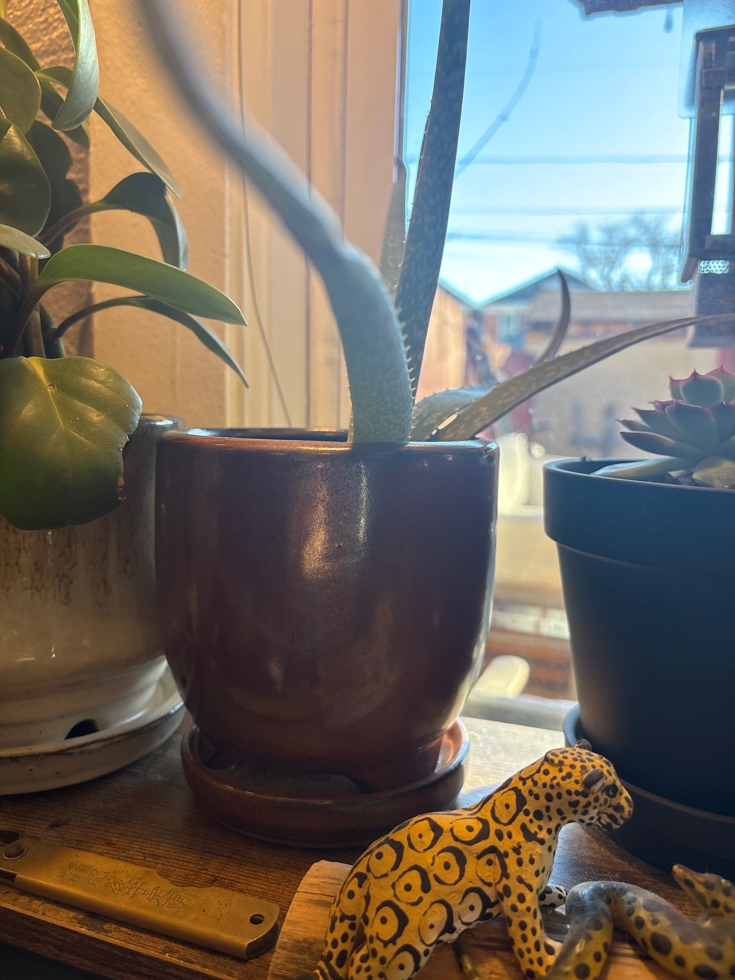 Drew's House by CompanyCam | Account Management Demo Account