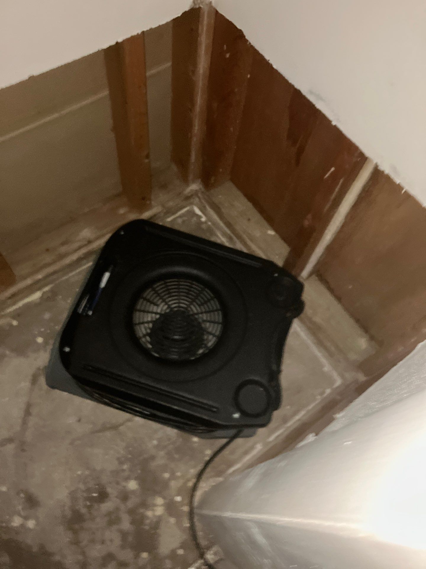 St. Pete Water Damage Mitigation by Ampm Restoration Services