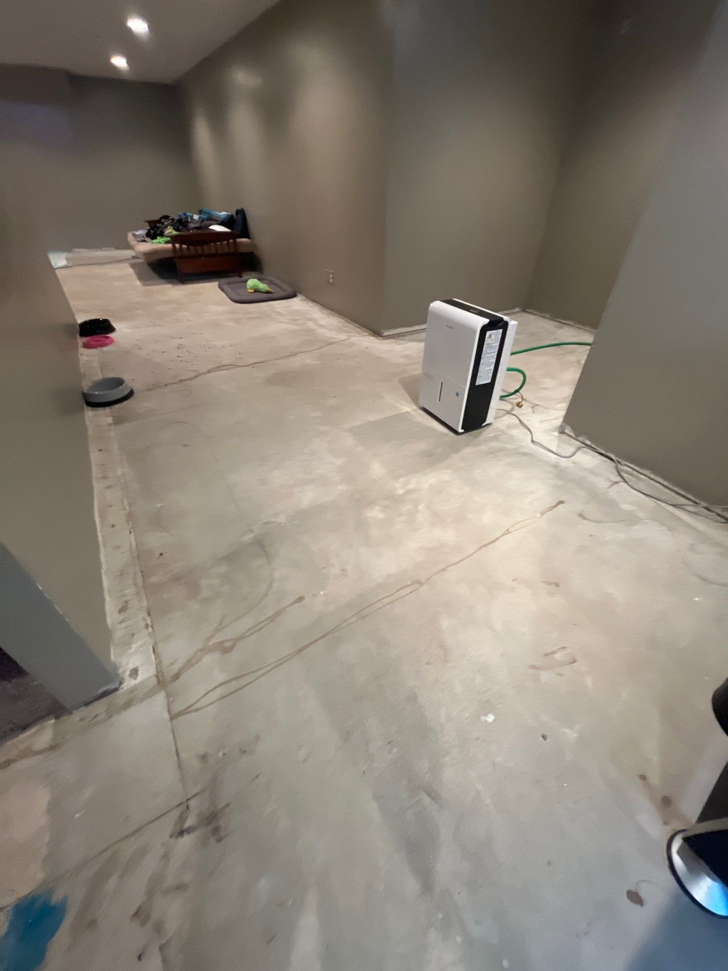 Custom Multi-Fleck Epoxy Floor Coating for Residential Basement by Select Painting, Coatings & Garage Cabinets