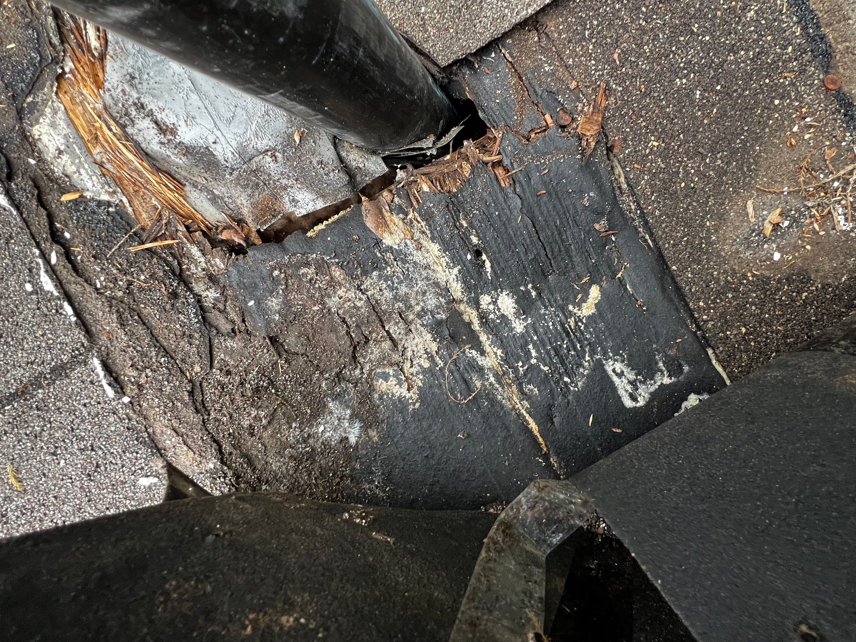 Roof Repair Spring by Roof Repair Company