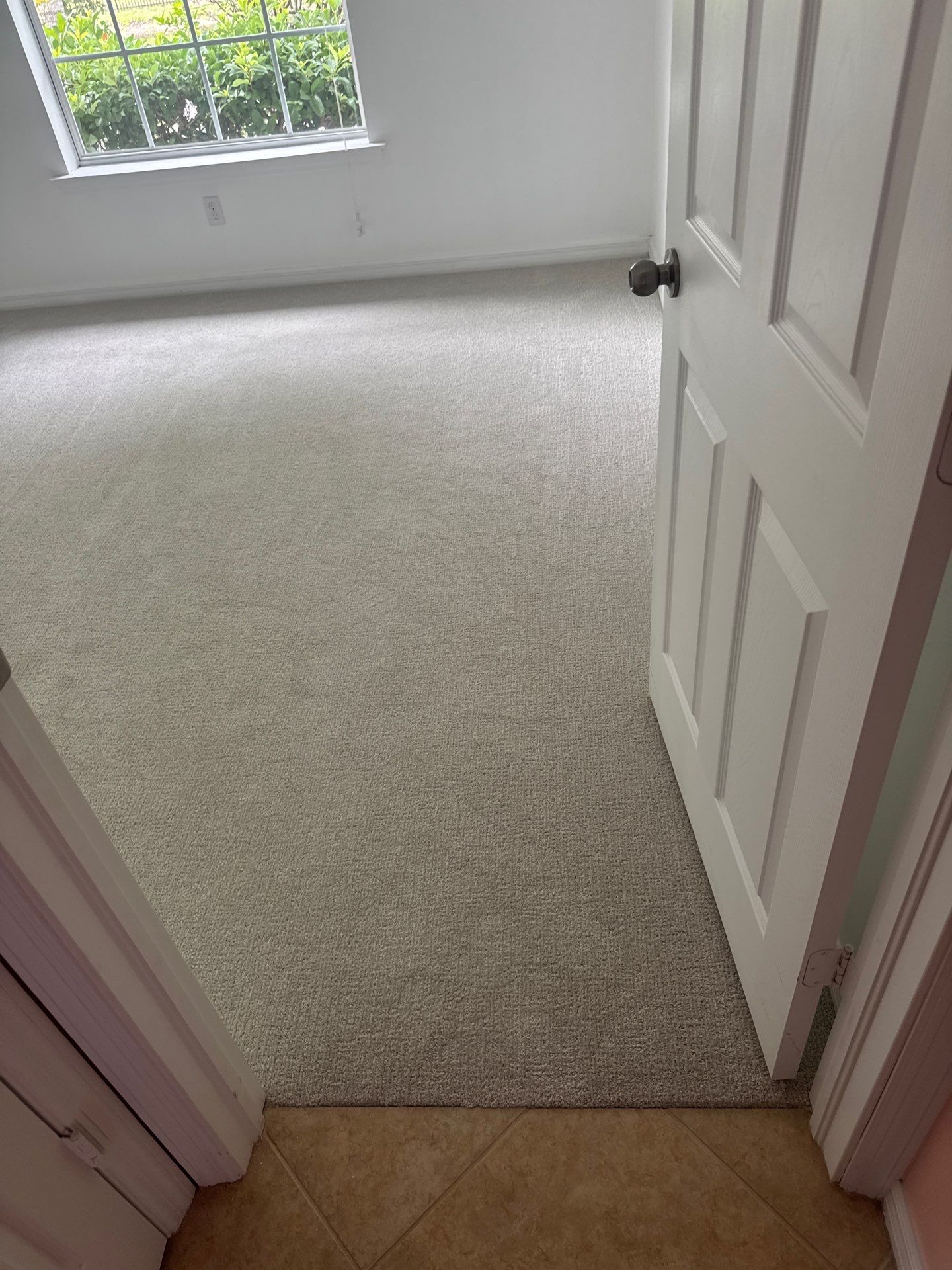 Carpet by Vrmmm Flooring