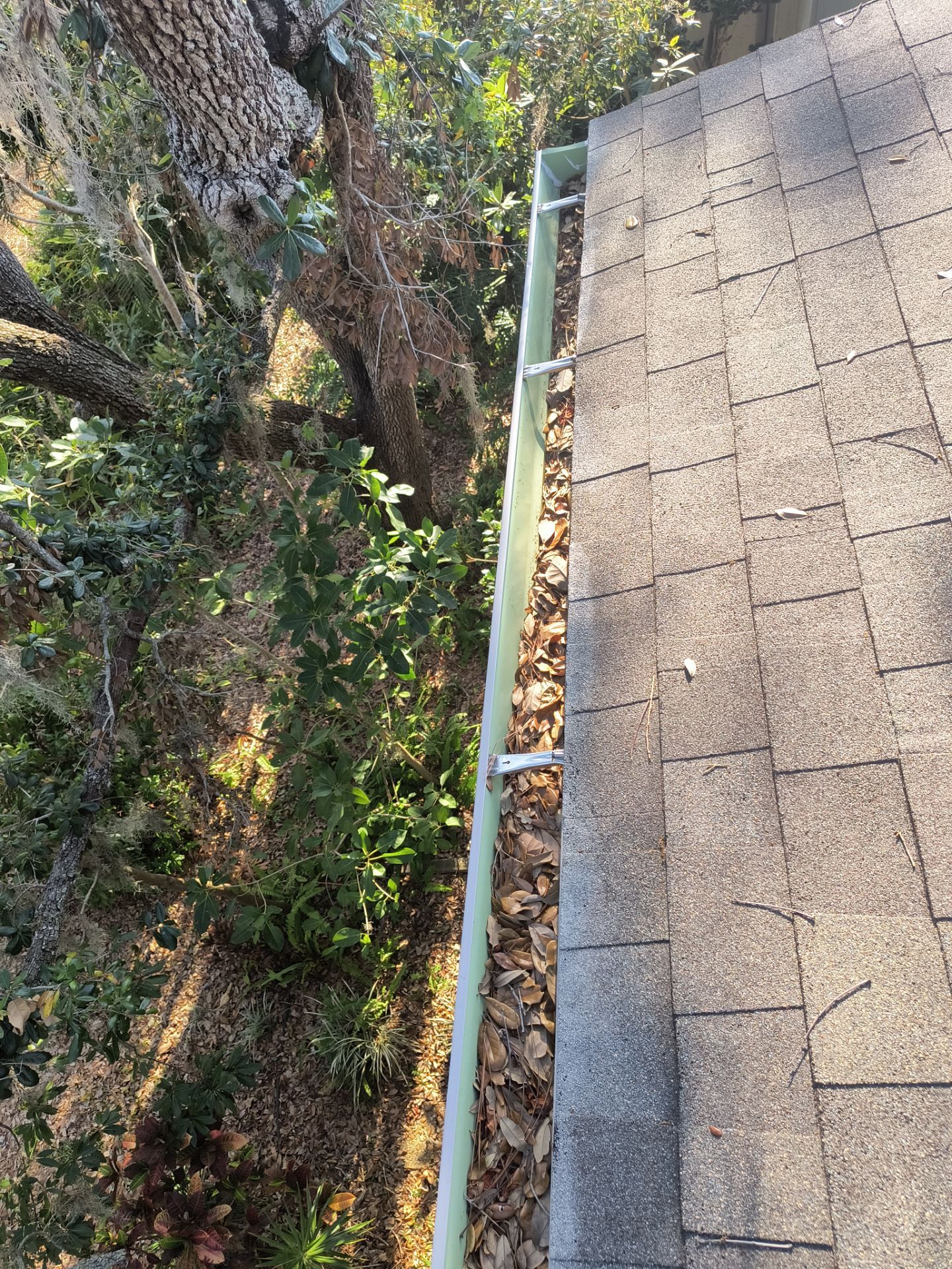 Professional Gutter cleaning Aluminum Seamless Gutters  in Sarasota FL by Gutter Professors