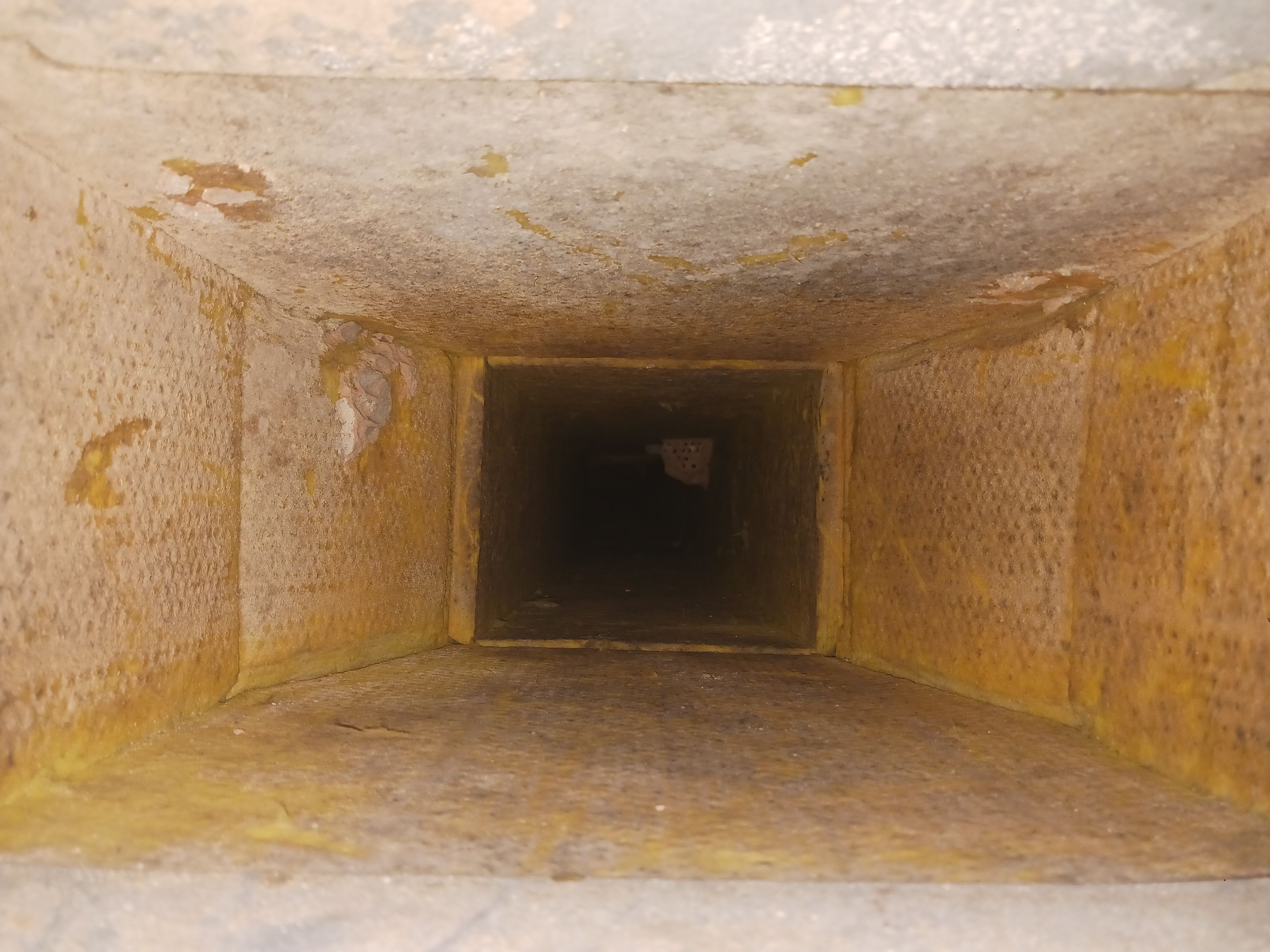 Commercial Air Duct Cleaning in Leesburg by Hygienic Air, Inc