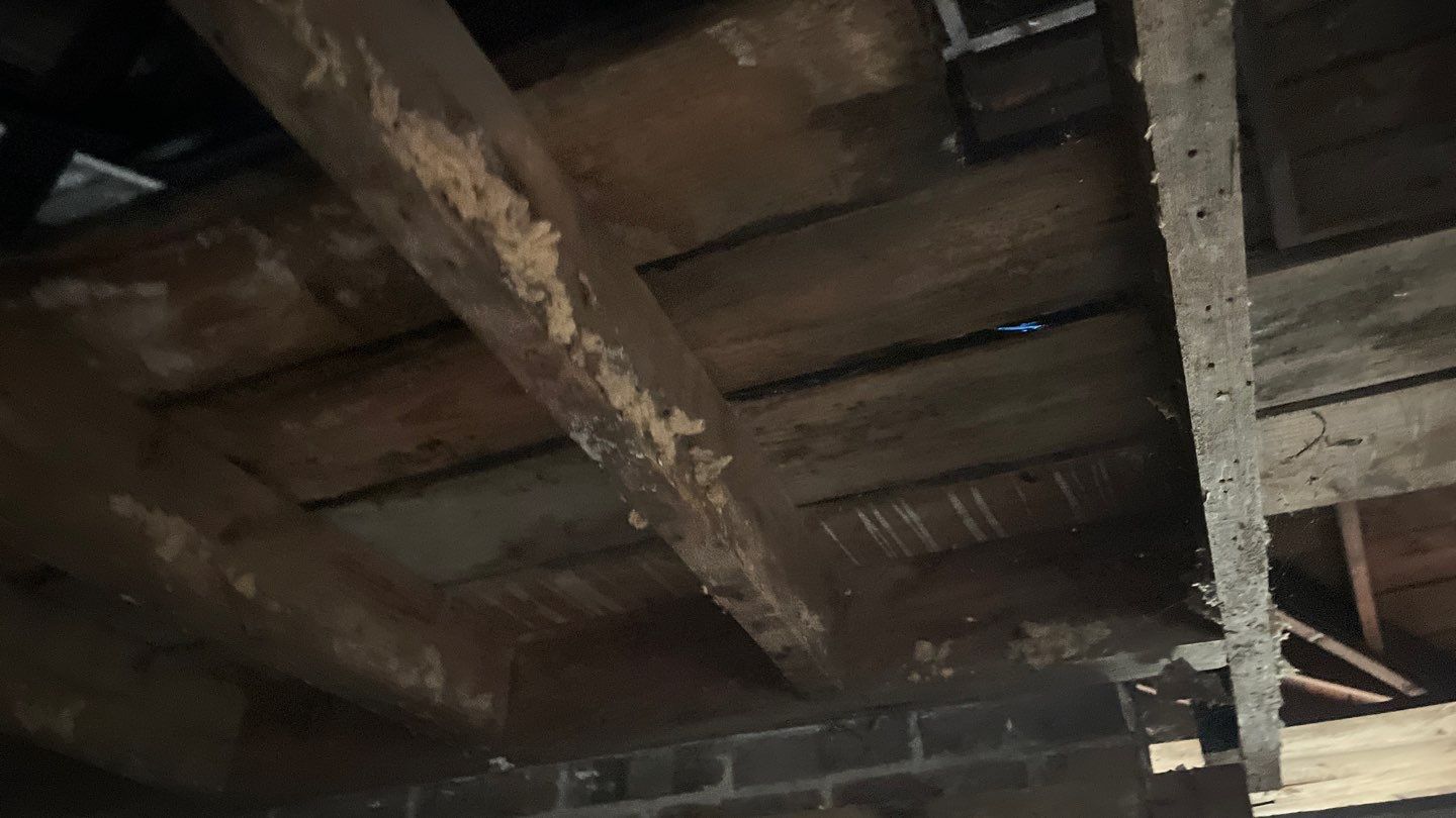 Fire Damage/Structural Cleaning with Hydroxyl Machine by ANR Restoration