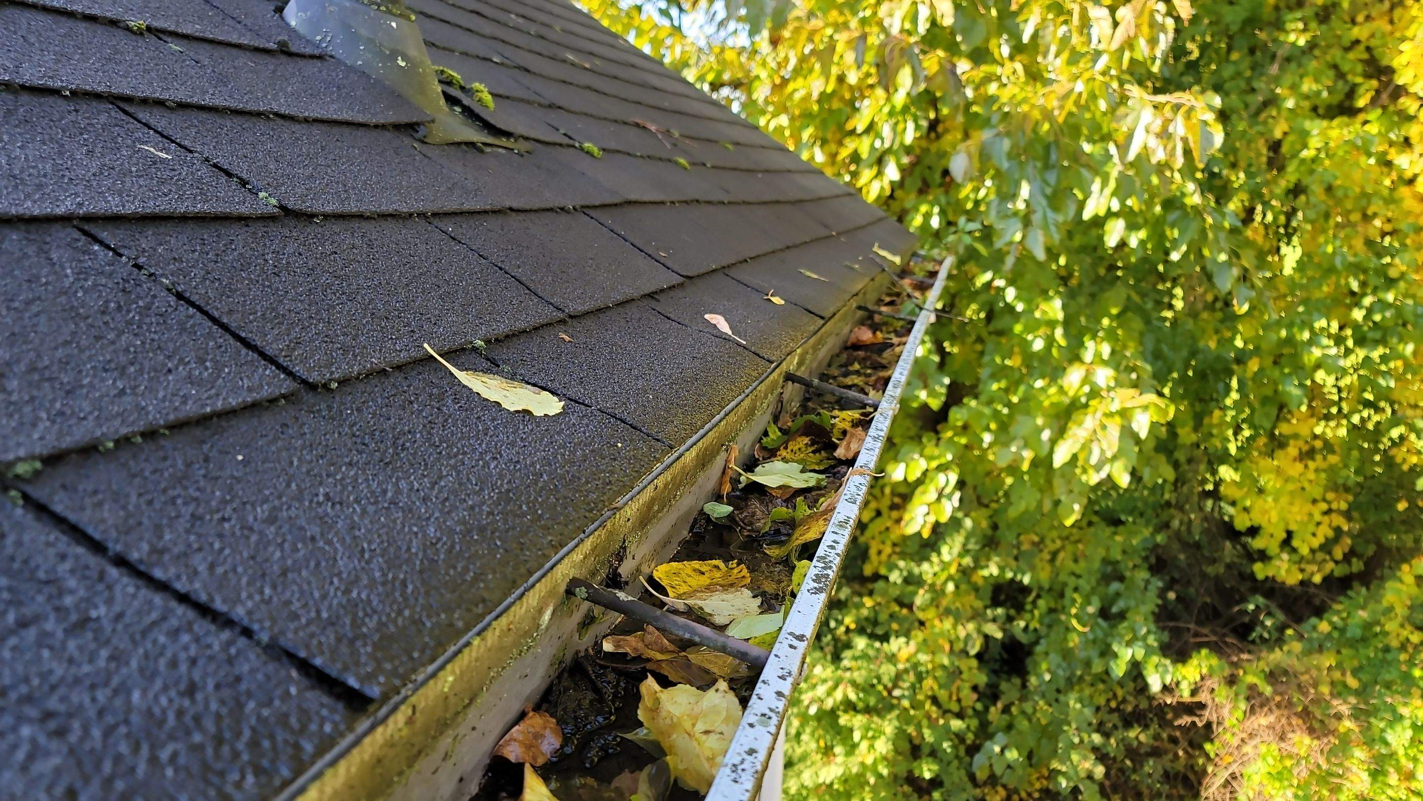 Gutter Cleaning & Gutter Guard Installation by Roof Right Inc