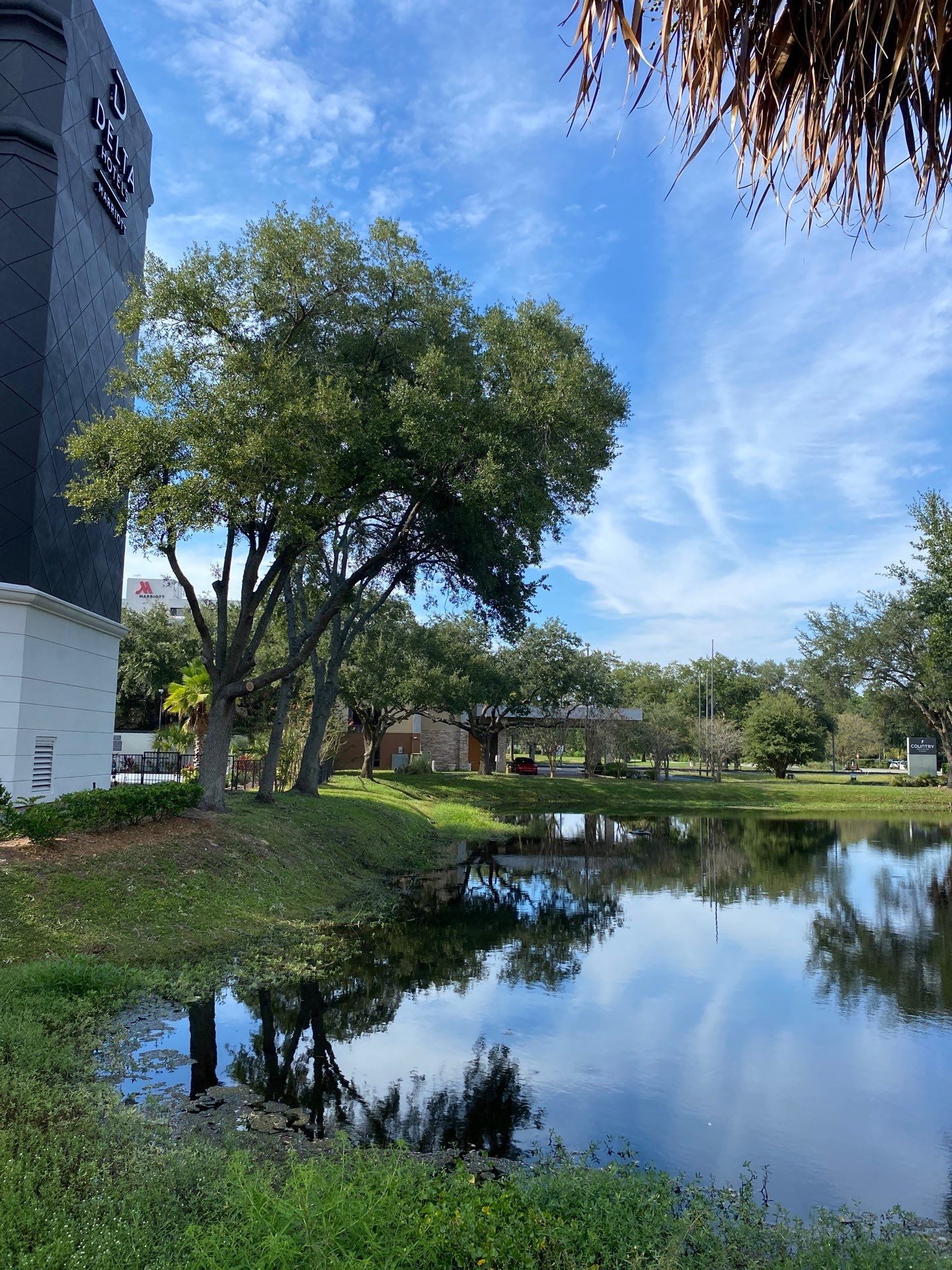 Tree & Shrub Removal | Marriott Hotel by ProGreen Services