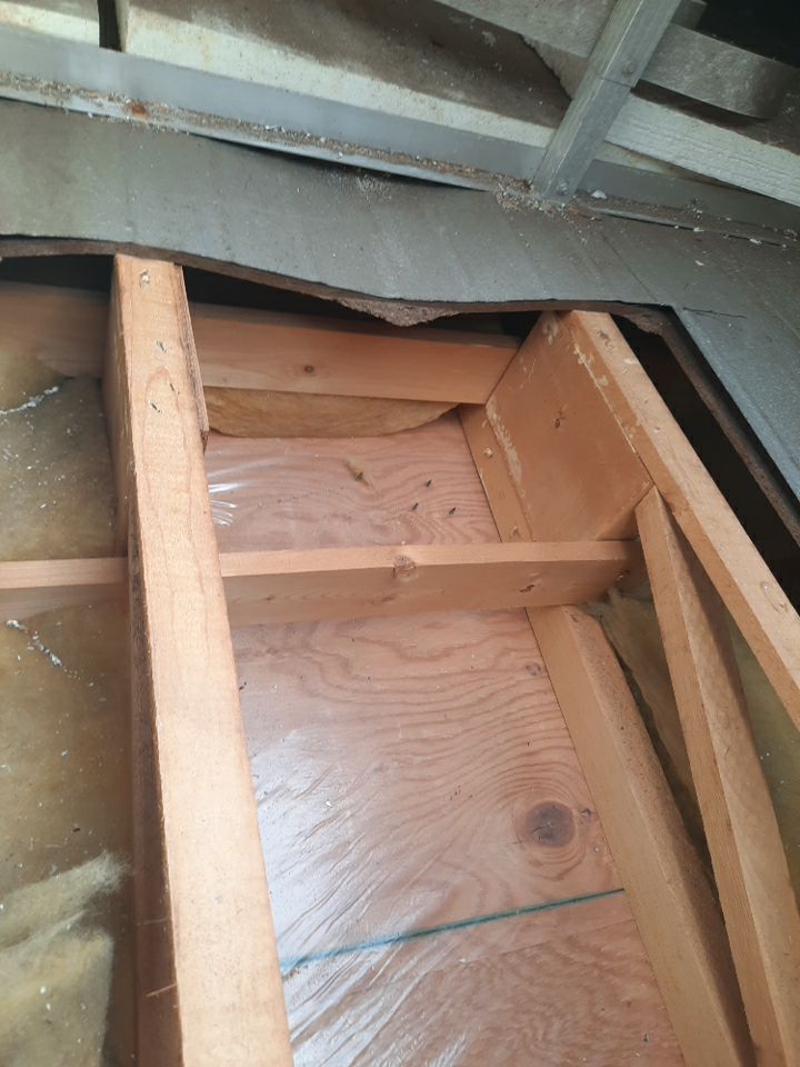 Debra Pigott by Silver Leaf Contracting 