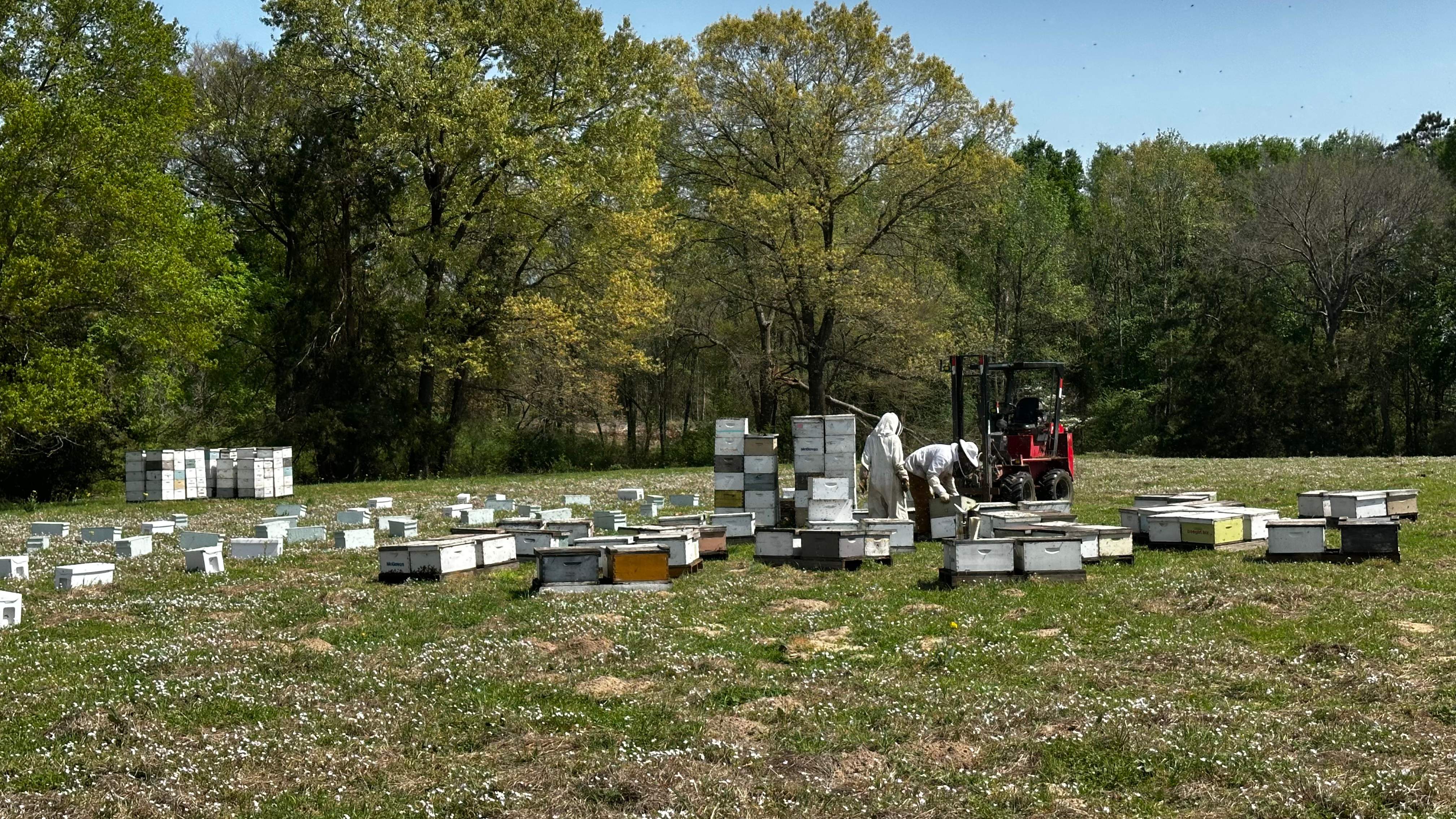 Traylor's Hay Meadow Apiary by Rockwall Honey Bee Company