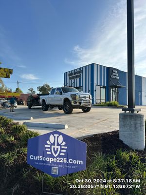 COMMERCIAL LAWN MAINTENANCE: HEDGE TRIM / BED CLEAN / MULCH INSTALL using BROWN MULCH "BARK BRITE"