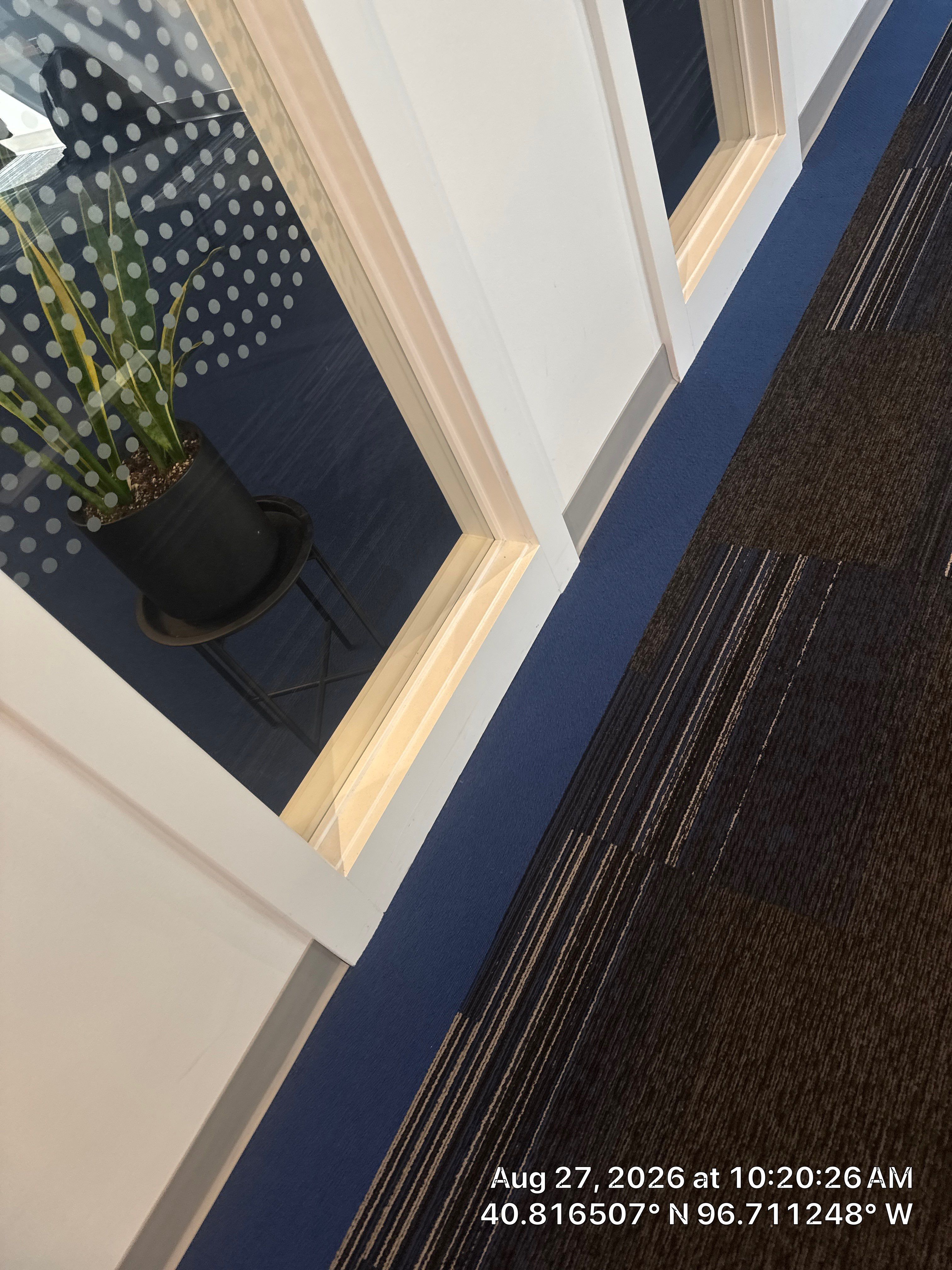 Modern Office Remodel with Custom Privacy Slats and Acoustic Baffles by CompanyCam Sales Demo