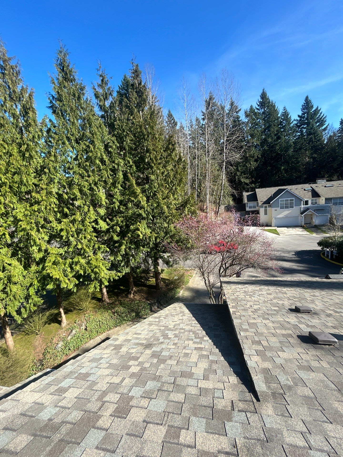 Project in Bothell by Connolly Construction Company