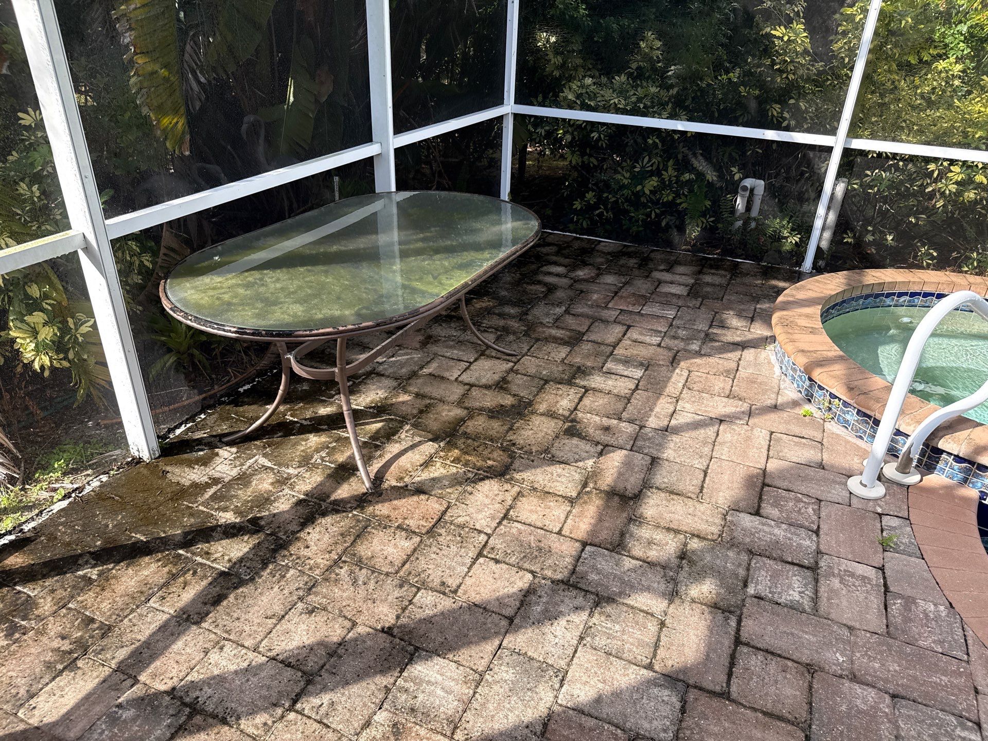 Paver Pool Deck & Screen Enclosure Transformation | University Park, Sarasota FL by Sunshine AquaWash