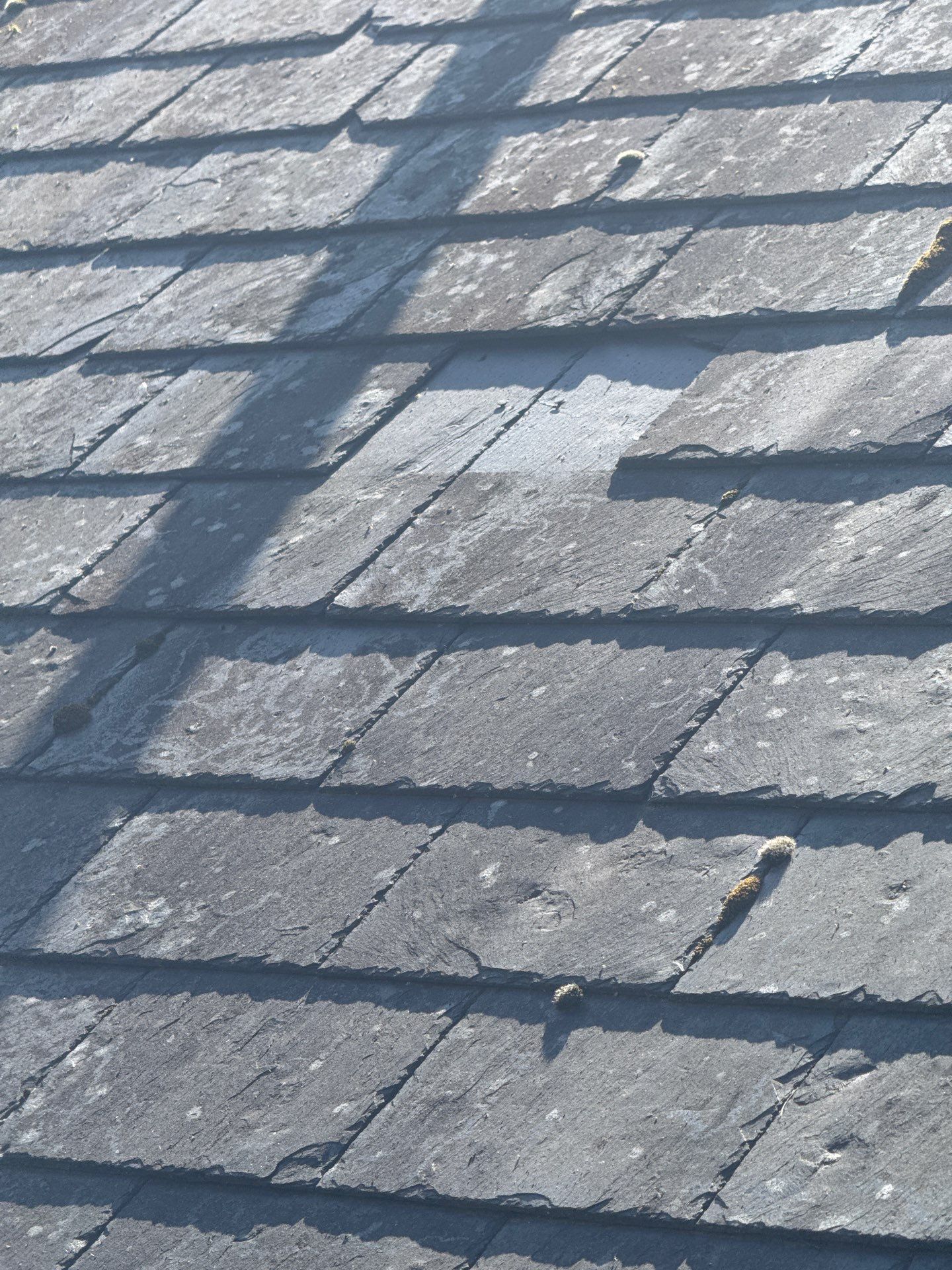 Render and Roof clean using Softwash Equipment by Ges Exterior Cleaning ltd