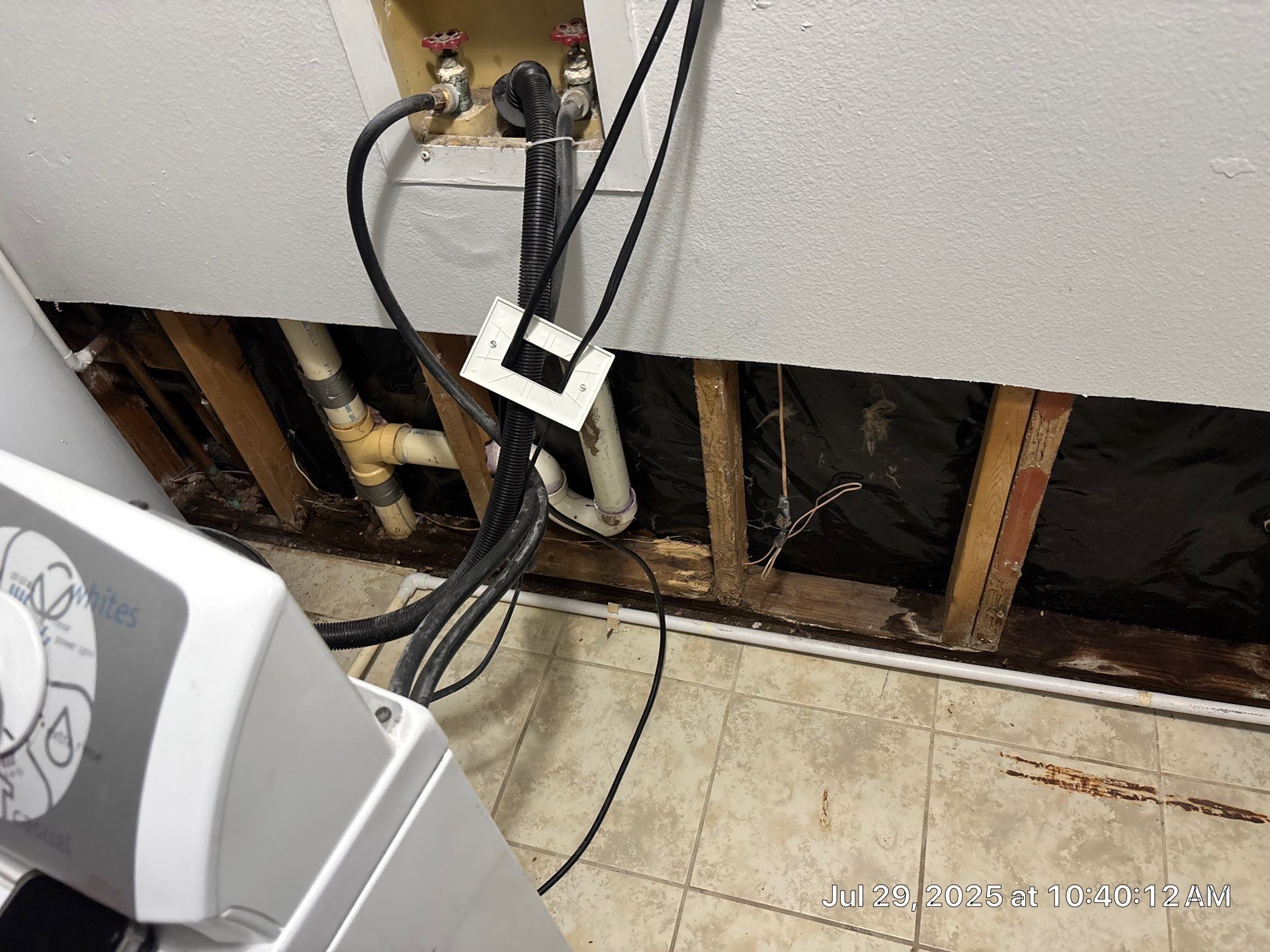 Mold Removal In Sarasota Florida by Ampm Restoration Services