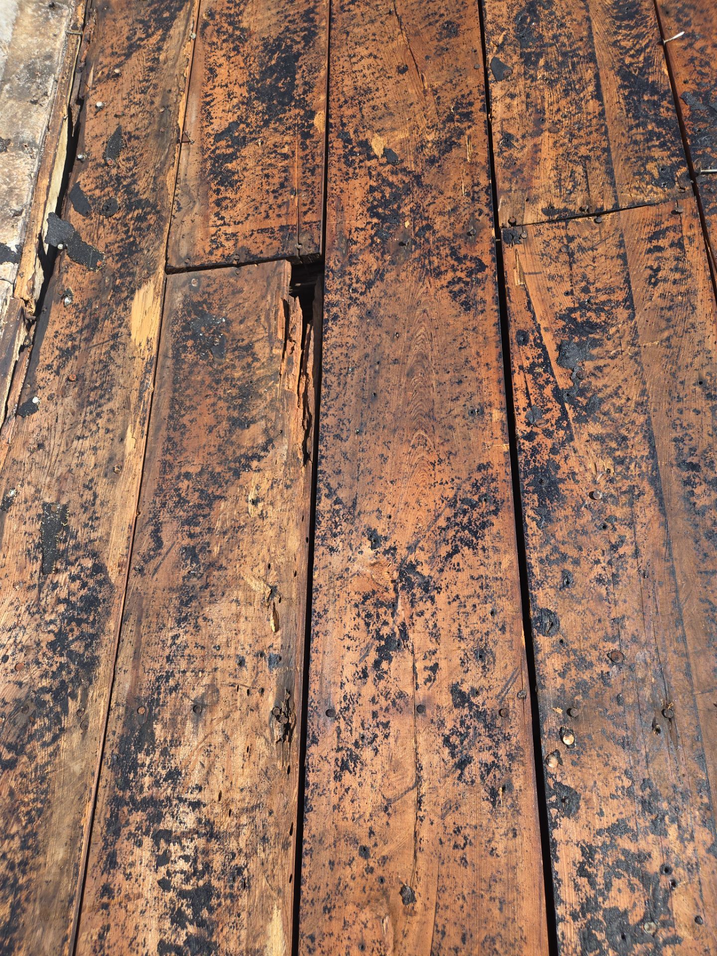 Project in St. Petersburg 33713 by Mitchell Roofing Company LLC 
