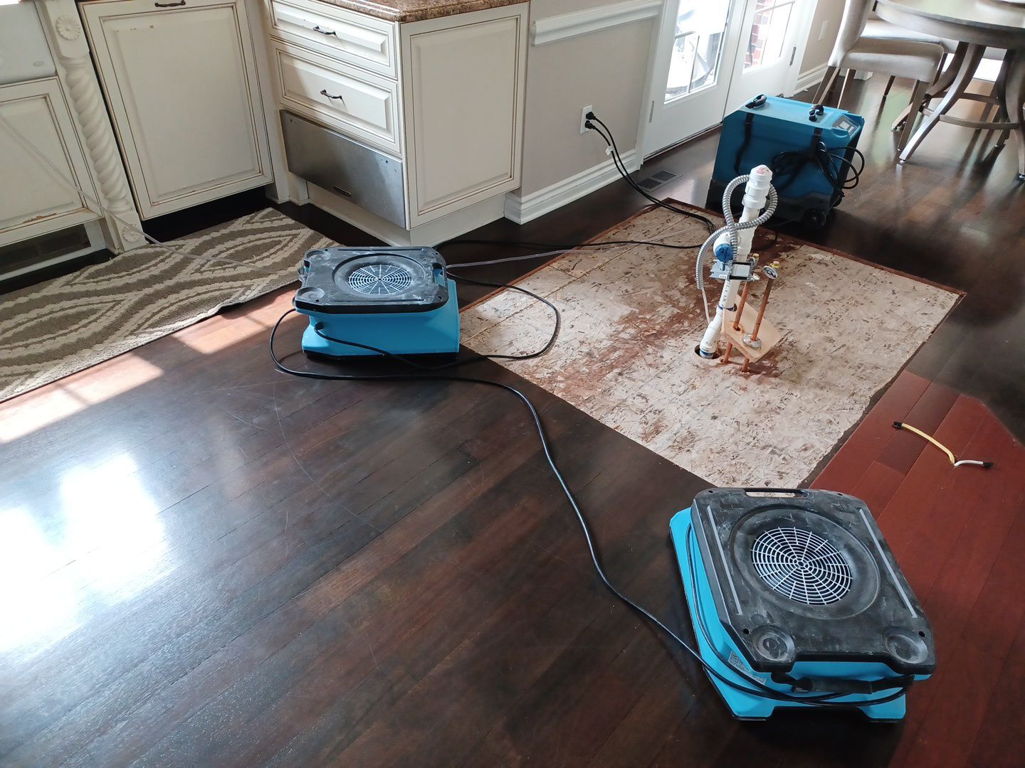 Project in Commerce Twp by EzDry Water Mitigation & Property Restoration